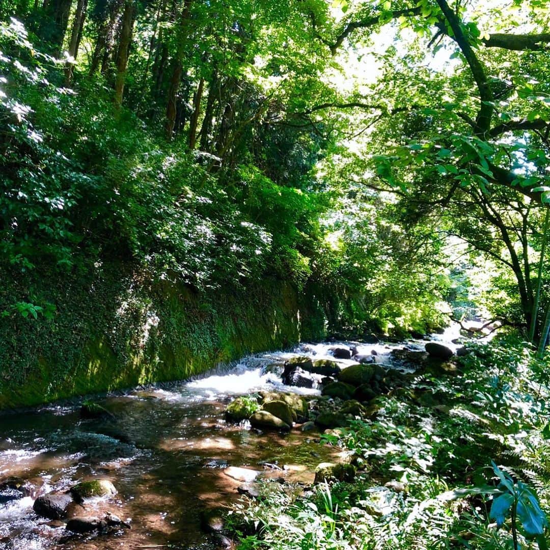 瀬稀ゆりとさんのインスタグラム写真 - (瀬稀ゆりとInstagram)「湯河原へ行ってきました♨️ 自然がいっぱいで空気も美味しかった〜☺️. . . #湯河原 #温泉 #夏の思い出 #仲間 #自然 #japan #japon」8月12日 13時56分 - yurito.seki