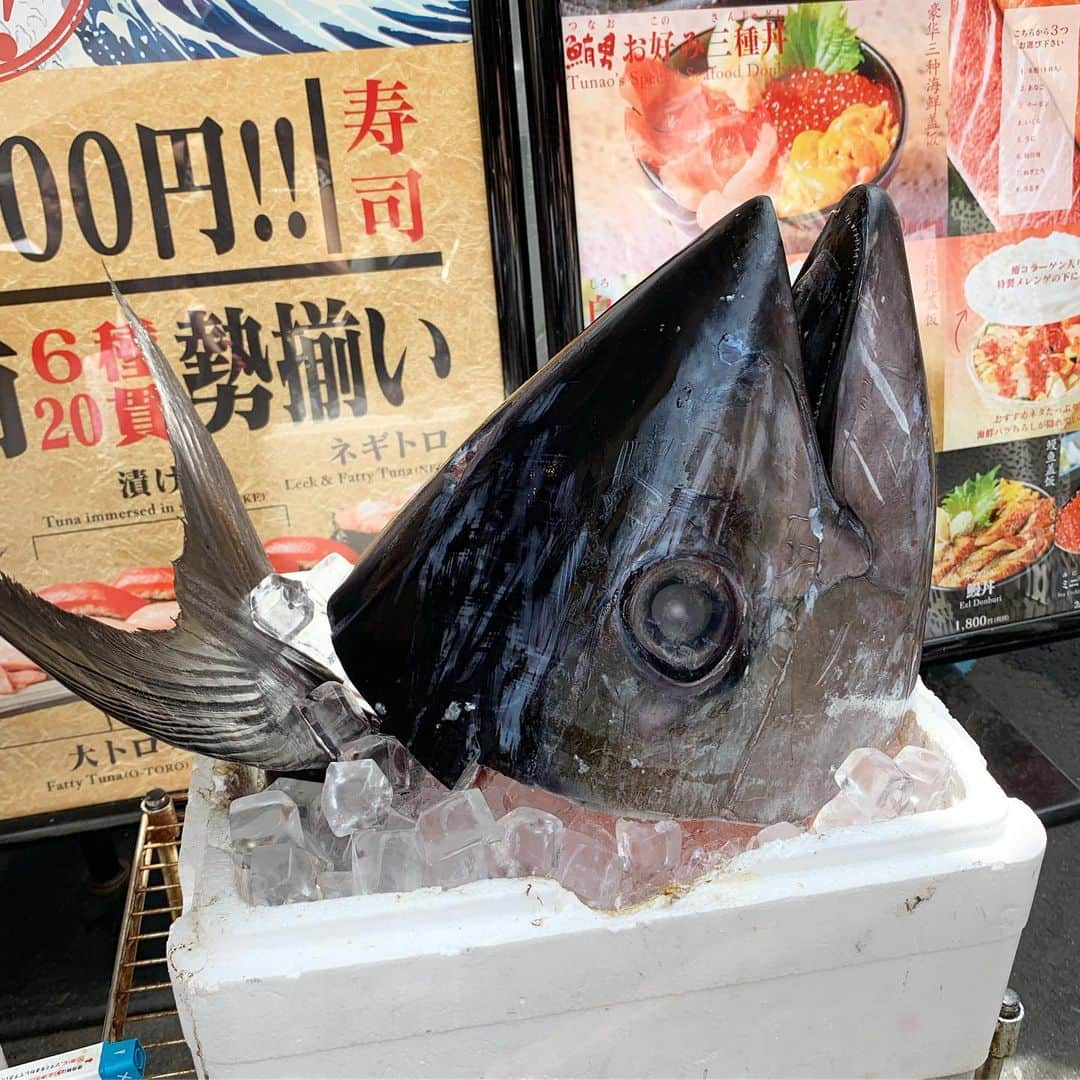 吉川ちかさんのインスタグラム写真 - (吉川ちかInstagram)「福岡から来てる親友と 築地観光してきた🐟💓 . 築地にある築地青空三代目って言う お寿司屋さんで寿司ランチ🍣💕 めちゃくちゃ豪華すぎた🥺 . 食べ歩きで一本5000円の 和牛串食べたけどうますぎた😂💓笑 . 豪華築地ツアー楽しかった！ . #築地#築地青空三代目#寿司#sushi #寿司ランチ #豪華ランチ#食べ歩き#観光#楽しかった#幸せ」8月12日 14時03分 - yoshikawachika_1116