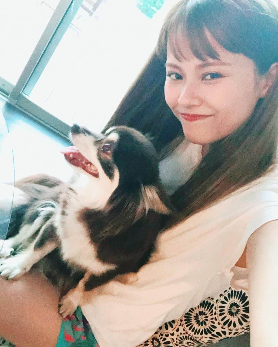 MiracleVellMagicさんのインスタグラム写真 - (MiracleVellMagicInstagram)「my cute little chihuahua🐶🥰 うちのちょこたん❤︎ 大きいけどチワワなの！私犬アレルギーが結構強くてね、ちょこへの耐性はある程度出来てるものの、舐められたりするとさすがに赤いポツポツが出てきて痒くなっちゃうの。なんだけど可愛くて仕方がないから痒さを我慢する方を選んじゃう🥴笑 きゃわいきゃわいいのねぇ🥰」8月12日 14時07分 - miraclevellmagic