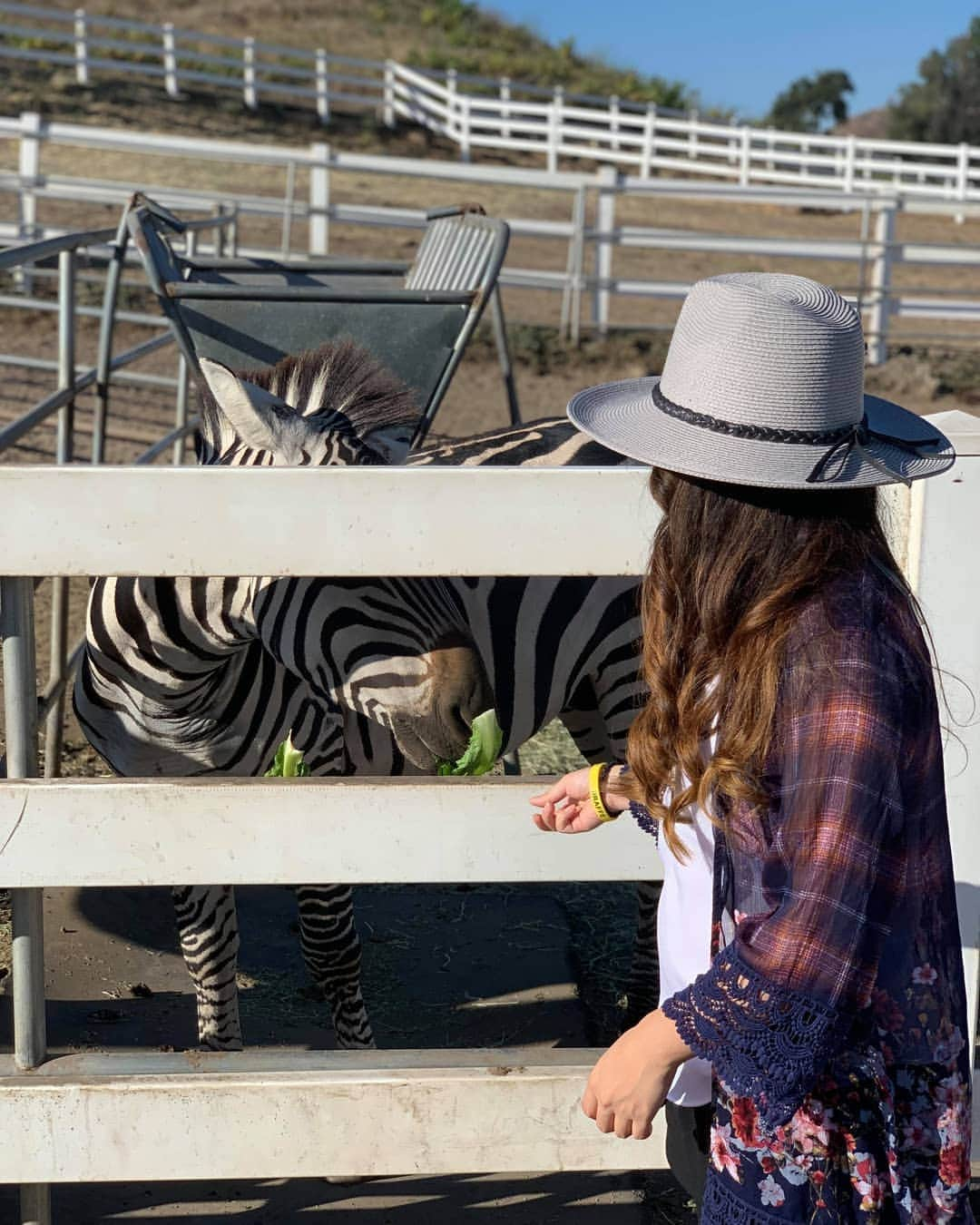 ベアトリサ・リャンさんのインスタグラム写真 - (ベアトリサ・リャンInstagram)「Last day of my summer break spent with Stanley the giraffe, Barack Ollama, and Zabrina the Teenage witch 🤣. Had a lovely week waking up after 5am, eating way too much, and spending time with friends and family. Going on vacation is fun but staying home and seeing what your city has to offer is another great way to spend your time.  #MalibuWineSafari #StanleytheGiraffe #staycation #losangeles #wine #sundayfunday #summerbreak #treatyoself #summer #safari」8月12日 14時23分 - bebe_liang