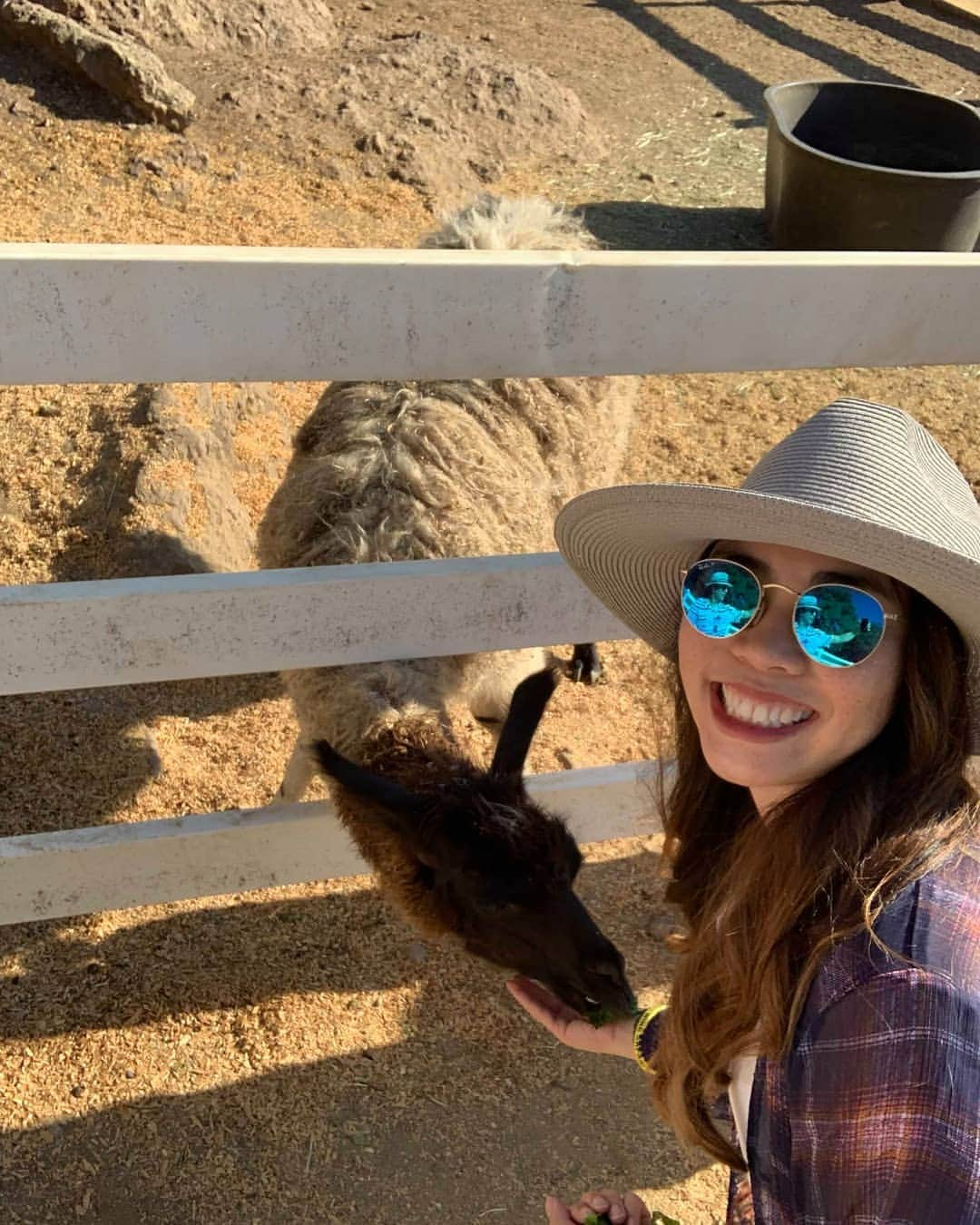 ベアトリサ・リャンさんのインスタグラム写真 - (ベアトリサ・リャンInstagram)「Last day of my summer break spent with Stanley the giraffe, Barack Ollama, and Zabrina the Teenage witch 🤣. Had a lovely week waking up after 5am, eating way too much, and spending time with friends and family. Going on vacation is fun but staying home and seeing what your city has to offer is another great way to spend your time.  #MalibuWineSafari #StanleytheGiraffe #staycation #losangeles #wine #sundayfunday #summerbreak #treatyoself #summer #safari」8月12日 14時23分 - bebe_liang