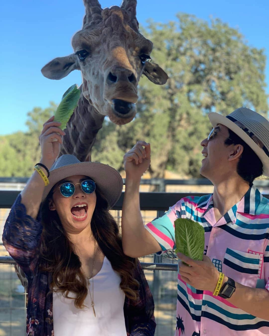 ベアトリサ・リャンのインスタグラム：「Last day of my summer break spent with Stanley the giraffe, Barack Ollama, and Zabrina the Teenage witch 🤣. Had a lovely week waking up after 5am, eating way too much, and spending time with friends and family. Going on vacation is fun but staying home and seeing what your city has to offer is another great way to spend your time.  #MalibuWineSafari #StanleytheGiraffe #staycation #losangeles #wine #sundayfunday #summerbreak #treatyoself #summer #safari」