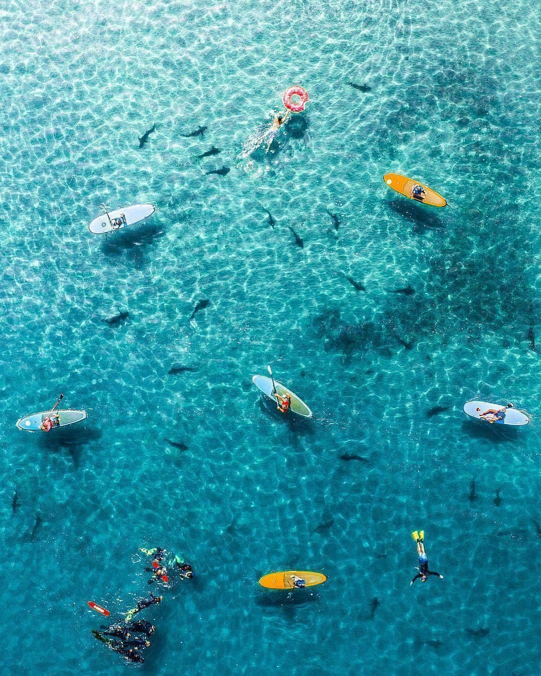 Blonde Saladさんのインスタグラム写真 - (Blonde SaladInstagram)「WHO'D LOVE TO SURF HERE? 🏄‍♀💕 #theblondesalad #mood #vacations #surf #summer2019 @visitcalifornia」8月12日 14時23分 - theblondesalad