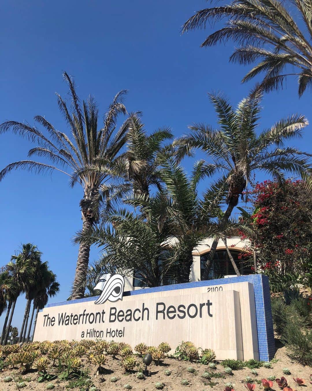 橋本真依さんのインスタグラム写真 - (橋本真依Instagram)「• LAのハンティントンビーチではこのホテルに﻿ お泊りしました✨😌﻿ ﻿ 目の前がビーチでプールも2つあって﻿ 大好きなウォータースライダーもあったよ😍﻿ お子ちゃまの列に紛れてアラサーの私もがっつり﻿ 並んで滑りました✨笑﻿ ・ 日本人はほぼいなかったので 海外にきたーーー‼️って感じしたの🇺🇸笑 ﻿ ﻿ ﻿ ﻿ ﻿ ﻿ 🏨The Waterfront Beach Resort, a Hilton Hotel﻿ ﻿ 21100 Pacific Coast Hwy, Huntington Beach, CA 92648﻿ https://goo.gl/maps/GL12DUADKK3A8vsu5﻿ ﻿ #女子力ねーさん#ロサンゼルス #ハンティントンビーチ #タビジョ#ひとり旅女子  #happy#smile#love#peace#lucky#tbt#l4l#followme#followback#instagood#photooftheday#Japan#huntingtonbeach#beach#sea#swimwear#LA#beachgirl#beachlife🌴 #beaches#beachside#California#beachy#summervacation#summerfashion﻿」8月12日 15時01分 - hashimotomai430