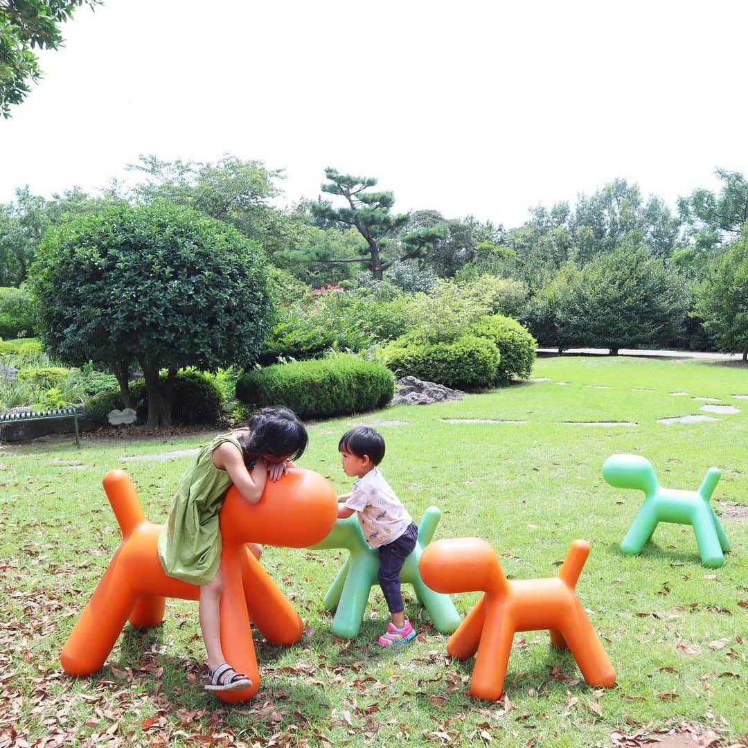 筧沙奈恵さんのインスタグラム写真 - (筧沙奈恵Instagram)「カメリアヒルは結構広いので、途中で休憩しました😌 ・ しばし広場で遊びつつ、子どもたちはみかんアイスを🍊 ・ 犬のオブジェが並んでいるのを見て、学校ごっこをしていました😊姉弟は一緒に遊ぶ時、よくおままごとをしています。 ・ 一番多いのは、お姉ちゃんがねこちゃん役で、弟がお母さん役👦👧笑 ・ #カメリアヒル #Camelliahill #チェジュ島 #済州島 #jeju #jejuisland #家族旅行 #子連れ旅行 #夏休み #家族写真 #2児ママ #女の子ママ #男の子ママ」8月12日 20時32分 - sanaekakei