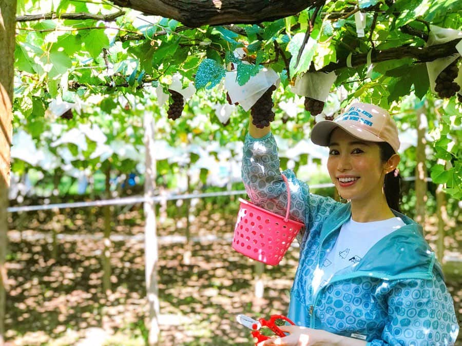 名越涼子のインスタグラム