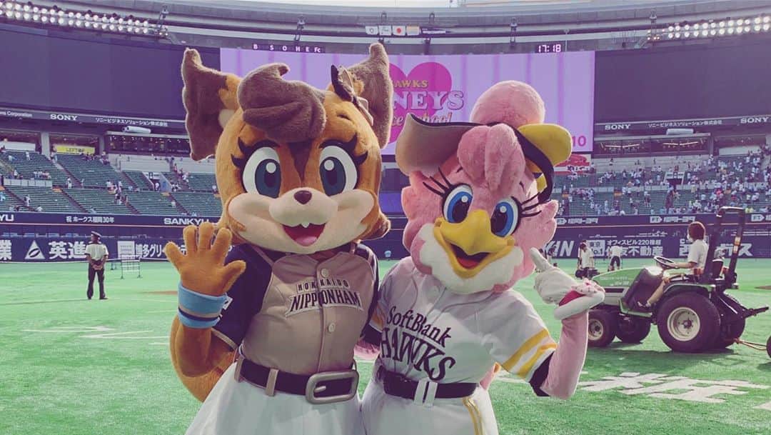 北海道日本ハムファイターズ フレップさんのインスタグラム写真 北海道日本ハムファイターズ フレップinstagram みんな 夏満喫してる ポリーだよ 土日の二日間 福岡ヤフオク ドームにお邪魔してきました 福岡に行くのは久しぶりだったんだけど 今回も