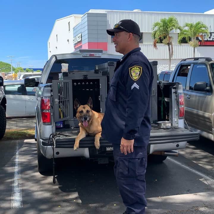 イズミカワソラのインスタグラム：「土曜日は、ヒーローと犬！のイベントを見つけて、ドキドキの高速に乗って行ってきました！ ・ ホノルル警察や消防署の方（ヒーロー！）が来てて、本物の消防車に乗れたりして楽しかったです。  わたし的には、ポリスオフィサーと警察犬がかっこよすぎて♪ ・ ・ そのあとは、ゲームセンターとファミレスがどっきんぐしたようなチャッキーチーズへ。 息子ちゃん大喜びw そりゃそうだ、子供たちみんな大はしゃぎしてましたw ・ ・ 私もついついゲーマーの血が騒ぎwww チケット大量にゲットw」