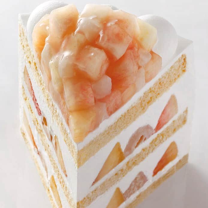 ホテル ニューオータニさんのインスタグラム写真 - (ホテル ニューオータニInstagram)「【NEW!!】Extra Super Peach Shortcake﻿ ﻿ One whole sweet peach is used per slice of cake to create this Extra Super Peach Shortcake. Available only for a limited time in summer, 20 per day. Get it now!﻿ #patisseriesatsuki ﻿ 【本日よりついに登場！】﻿ 『新エクストラスーパーピーチショートケーキ﻿』 ﻿ 糖度12～13度以上の濃厚な甘さを持った国産桃を約1個丸ごと使用した、贅沢な逸品。1日限定20個販売。#パティスリーsatsuki ﻿ ﻿ 【Instagramキャンペーン開催中！】﻿﻿﻿﻿﻿ ①当アカウントをフォローする﻿﻿﻿﻿﻿ ②@hotelnewotanitokyo をタグ付けする﻿﻿﻿﻿﻿ ③#ピーチマンゴーメロン のハッシュタグを付ける﻿﻿﻿﻿﻿ ﻿﻿﻿﻿﻿ 上記を満たした投稿をした方の中から抽選で、レストラン招待券などが当たります！ピーチだけ、マンゴーだけ、メロンだけでももちろんOK。奮ってご参加ください。 ﻿﻿﻿﻿﻿ #エクストラスーパーピーチショートケーキ #新エクストラスーパーピーチショートケーキ #パティスリーサツキ #エクストラスーパーシリーズ #ピーチ #ショートケーキ #期間限定 #赤坂 #ホテルニューオータニ #extrasuperpeachshortcake #peachshortcake #patisserie #peachdessert #shortcake #summerdessert #akasaka #forbestravelguide #SummerStars @hotelnewotanitokyo」8月12日 16時39分 - hotelnewotanitokyo