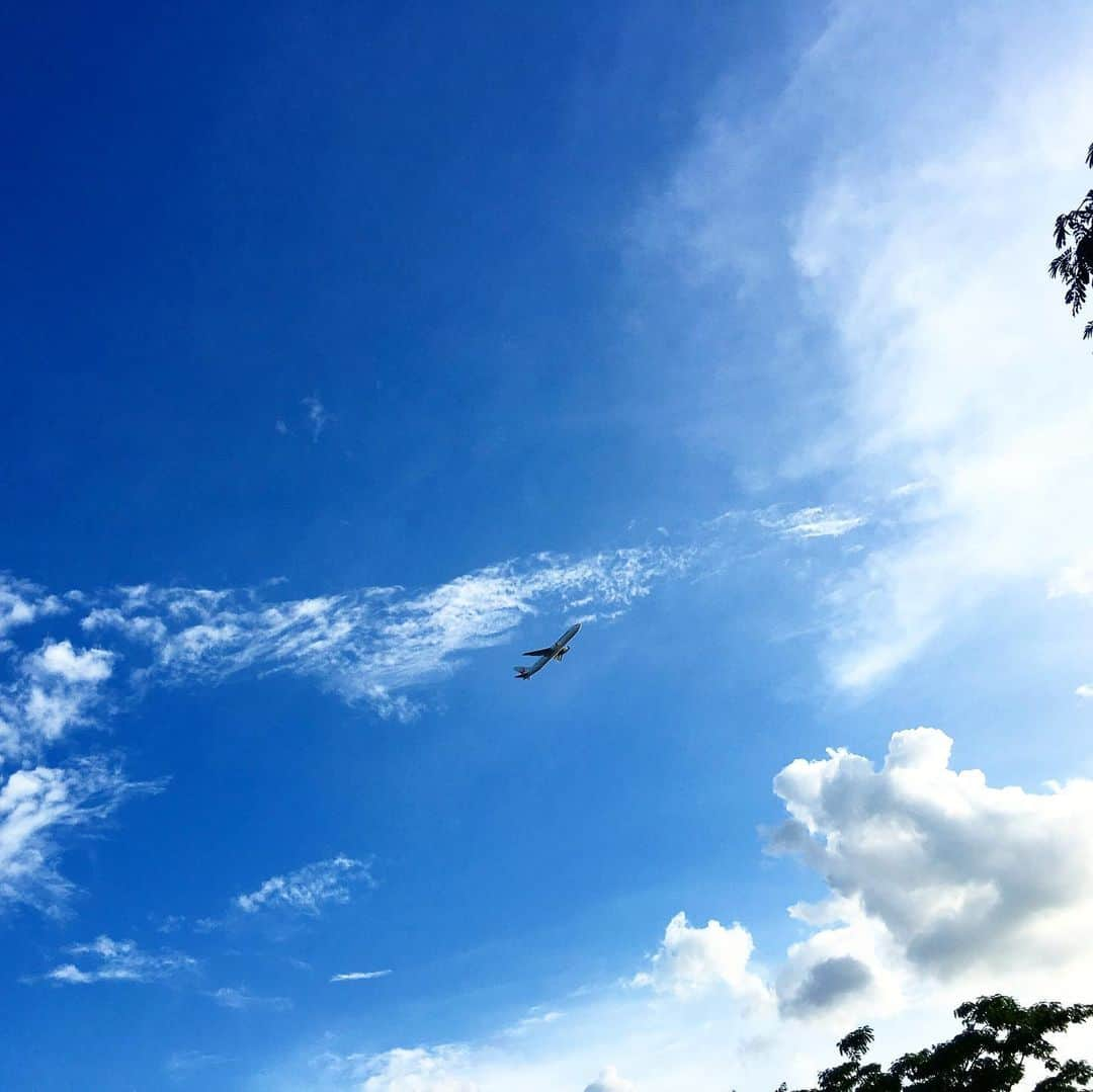 中倉隆道さんのインスタグラム写真 - (中倉隆道Instagram)「. 良き休日🐶😊✨ . 夏空と飛行機✈️☀️ . . 大好きな景色に癒される🙏 . . #夏空 #ワンコ #わんこ #わんことお出かけ #城南島海浜公園 #チワワ #愛犬」8月12日 17時18分 - ryudo.tokyo