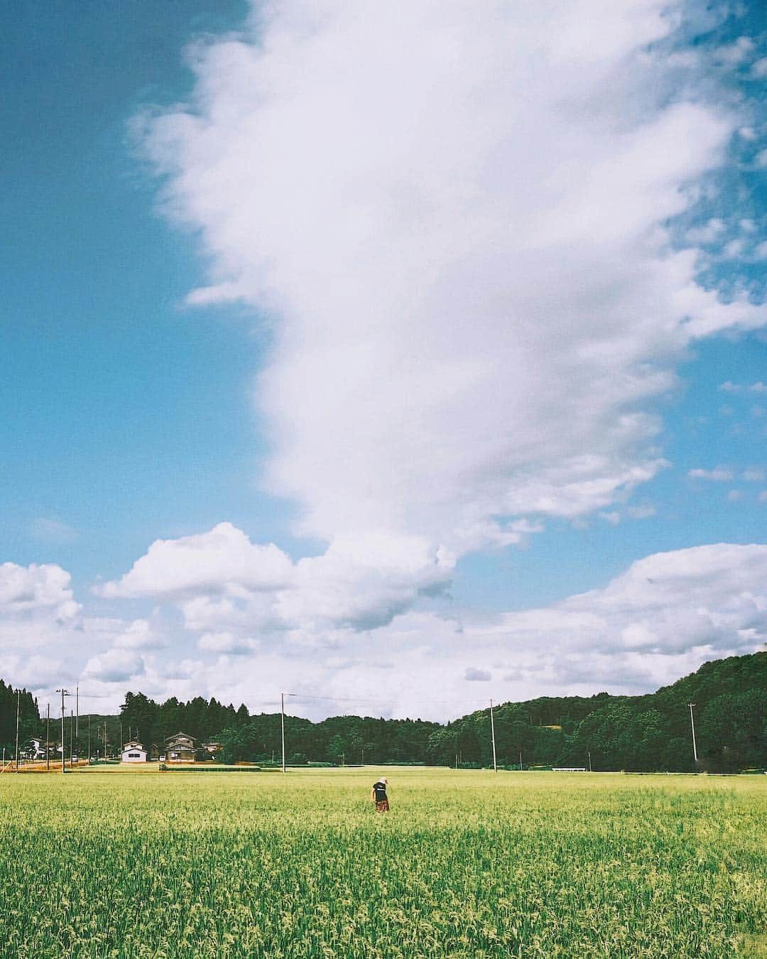 のインスタグラム：「・ ・ ・ ◉sty830のLIGHTROOMプリセット◉ https://www.curbon.jp/products/sty830presets ・ ・ #vsco#ig_photooftheday#igersjp#igmasters#ink361#exklusive_shot#thecoolmagazine#FreedomThinkers#Visuals4All#igersoftheday_#reco_ig#webstapick#huntgram#vzcomood#thecreatorclass#artofvisuals#indies_gram#hueart_life#ppschool#exploretocreate#as_archive  #tokyocameraclub #nat_archive #good_portraits_world #pics_jp #igers  #instagram #instagramjapan」