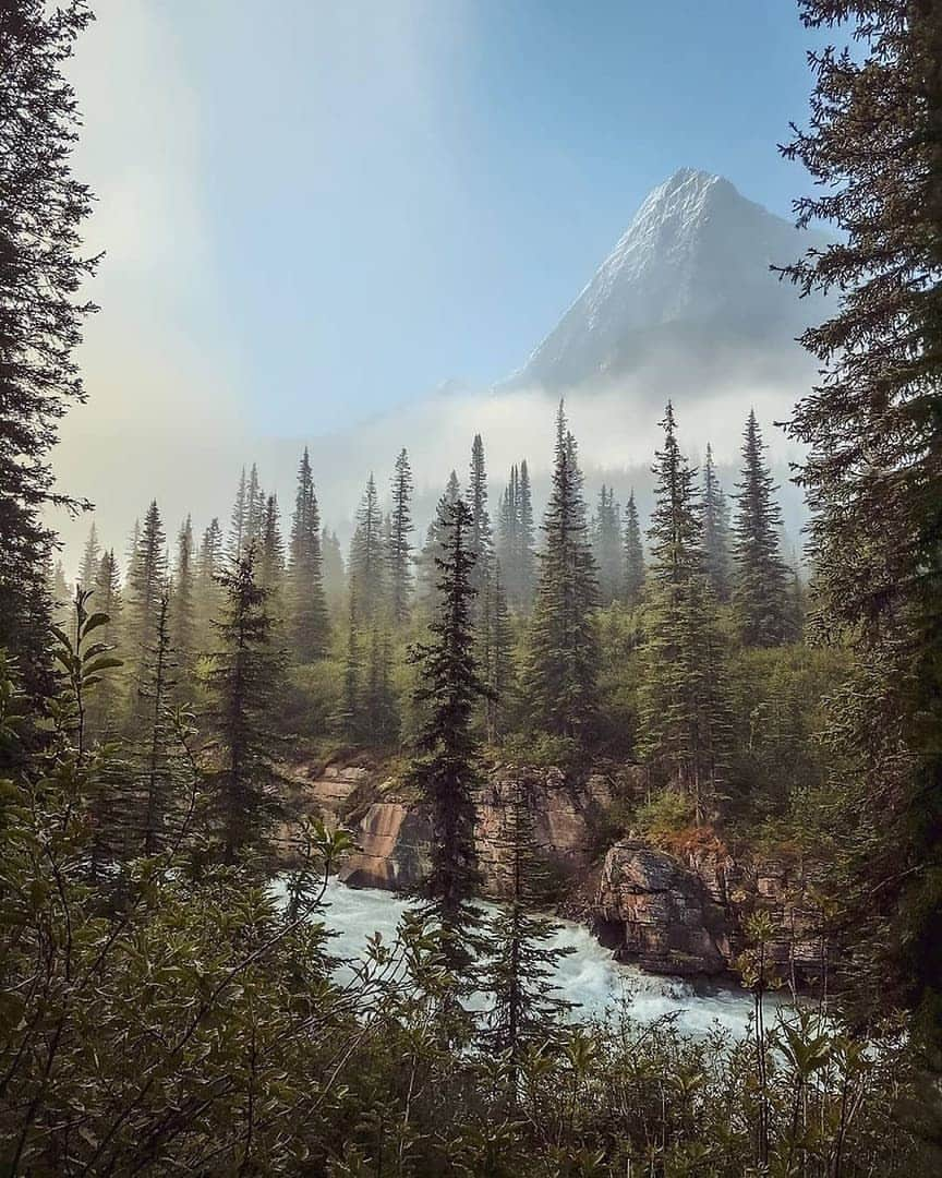 Discover Earthさんのインスタグラム写真 - (Discover EarthInstagram)「Mount Robson, the highest point in the gorgeous Canadian rockies. Looks like the perfect place for an adventure right? 🇨🇦 — 📍#DiscoverCanada — 📸 Photos by @walasavagephoto via @earthfocus」8月12日 17時59分 - discoverearth