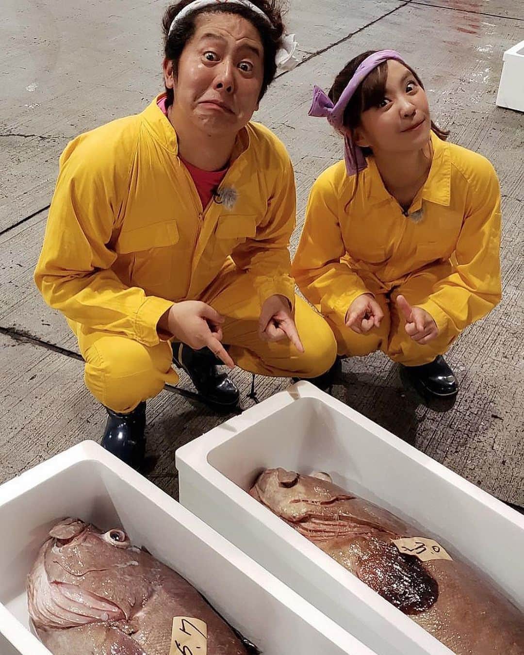 上杉あずさのインスタグラム：「. 先日、RKB『今日感テレビ 日曜版』のロケで長崎へ🐟 我が第2の故郷に久々泊まり！幻の高級魚ともいわれるマハタが回転寿司チェーンのスシローで店頭に並ぶまでを追いかけました！！美味しかった～😍😍そしてデカかった～～！！ 事務所の先輩 #土居上野 の上野さんと共に行ってきました🎶心強かった✊放送日の11日にはスタジオにもお邪魔しました📺♩基本、外回りなのでスタジオはやや緊張！顔がひきつっとったげな😂😂 #fukuoka #nagasaki #tv #kyokan #rkb #sakana #fish #🐟 #福岡 #長崎 #魚市場 #スシロー #寿司 #つなぎ #黄色 #ジロジロ見られたよ」
