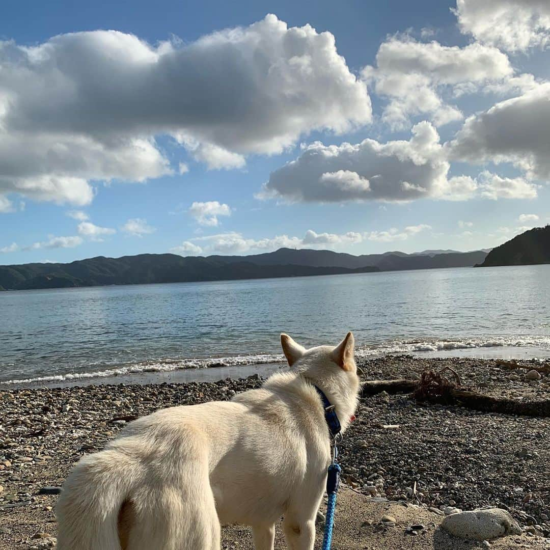 元ちとせさんのインスタグラム写真 - (元ちとせInstagram)「美しい夏。。。 豪太郎、今日が1歳最後の夏。 明日からは、2歳の夏😂。 それにしても。。。暑いね😵💦 #生ビール飲みたい」8月12日 17時57分 - hajimechitose.official