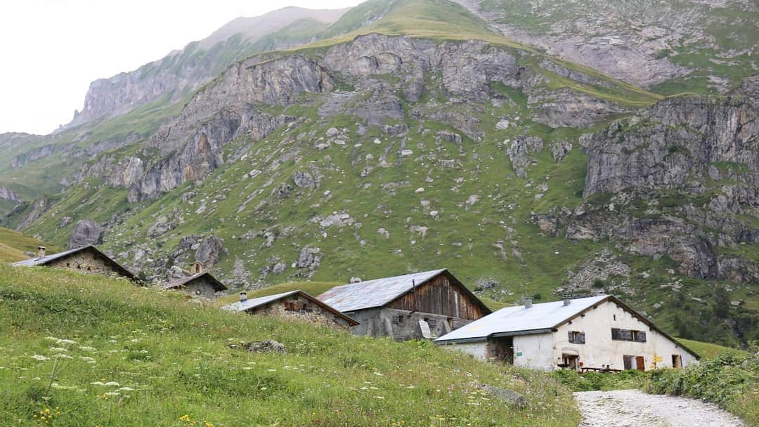 シャーロット・デュリフさんのインスタグラム写真 - (シャーロット・デュリフInstagram)「✌ La Gittaz, France  Over the last week I took full advantage of an alpine sector located in the Beaufortain. It ended up a great plan to prepare for my next trip to Peru with some steep hike, technical climbing and a bit of altitude (2000m) which made cool temps very welcomed!  With many sessions ahead of me I get to try harder routes. I started with "Pas de sapin pour Noël" and "L'arête des hirondelles", two 8bs that I did fairly quickly... all the granite climbing over the last month definitively paid off, with no acclimatation days needed. So then I put my @eb_climbing shoes in an 8c (in the middle of the 2nd picture) where it took me some perseverance to figure out the perfect beta in that highly technical vertical wall. Once it was dialed, I went for it, tried extra hard in the main crux and kept it together until I reached the anchors! "Eureka!" It was a beautiful yet painful route and I'm happy I got to perform in this style which suits me good!  A nice trip in a gorgeous area, walk to waterfall, camping overnight, picking blueberries in the approach and I'm psyched we surprisingly crossed pass with my friend and one of the developer of the area: @fabiendugit. Thank's for the cool lines and great summer cliff!  @petzl_official @eb_climbing @volxholds @luxov_connect @mountainhardwear  #petzlteam #petzlgram #belaybetter #teameb #meetingeb #posetespieds #useyourfeet #climbinginnovation #ebescalade #beyondhope」8月13日 4時42分 - chadurif