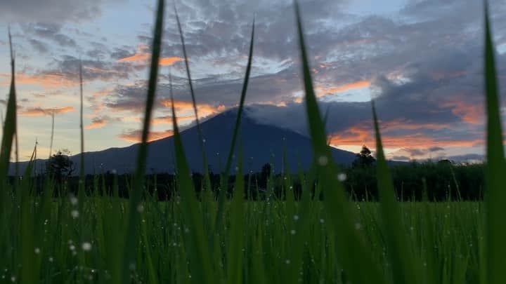 phantastic420のインスタグラム：「. 🤩🤩“Shizuoka” prefecture in Japan is a place where you can see the most “phantastic” Mt. Fuji🗻 in the world.🤩 #富士山 #mtfuji #japan #shizuoka #fujinomiya  #phantastic420photography #mostphantasticmtfuji #selamatpagi  #goodmorning  #おはようございます 😇😇😇😇😇😇😇🗻😇😇 Now🤩まぁまぁですかねぇ🤣さてと西へ行きます‼︎Go west‼︎💨」