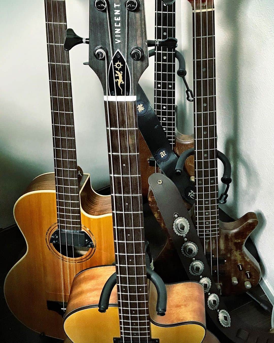 JIGEN のインスタグラム：「最近はこの4本（エレキ・ノーマルベース、エレキ・テナーベース、アコースティック・テナーベース、アコースティック・アルトベース）を順繰りに弾きまくりの録りまくり☆ そして、モモナシの2Daysに備えて、テナーアコベをグリッとメンテナンス♪ いよいよ明日から、連続激アツ公演の始まり〜☆」
