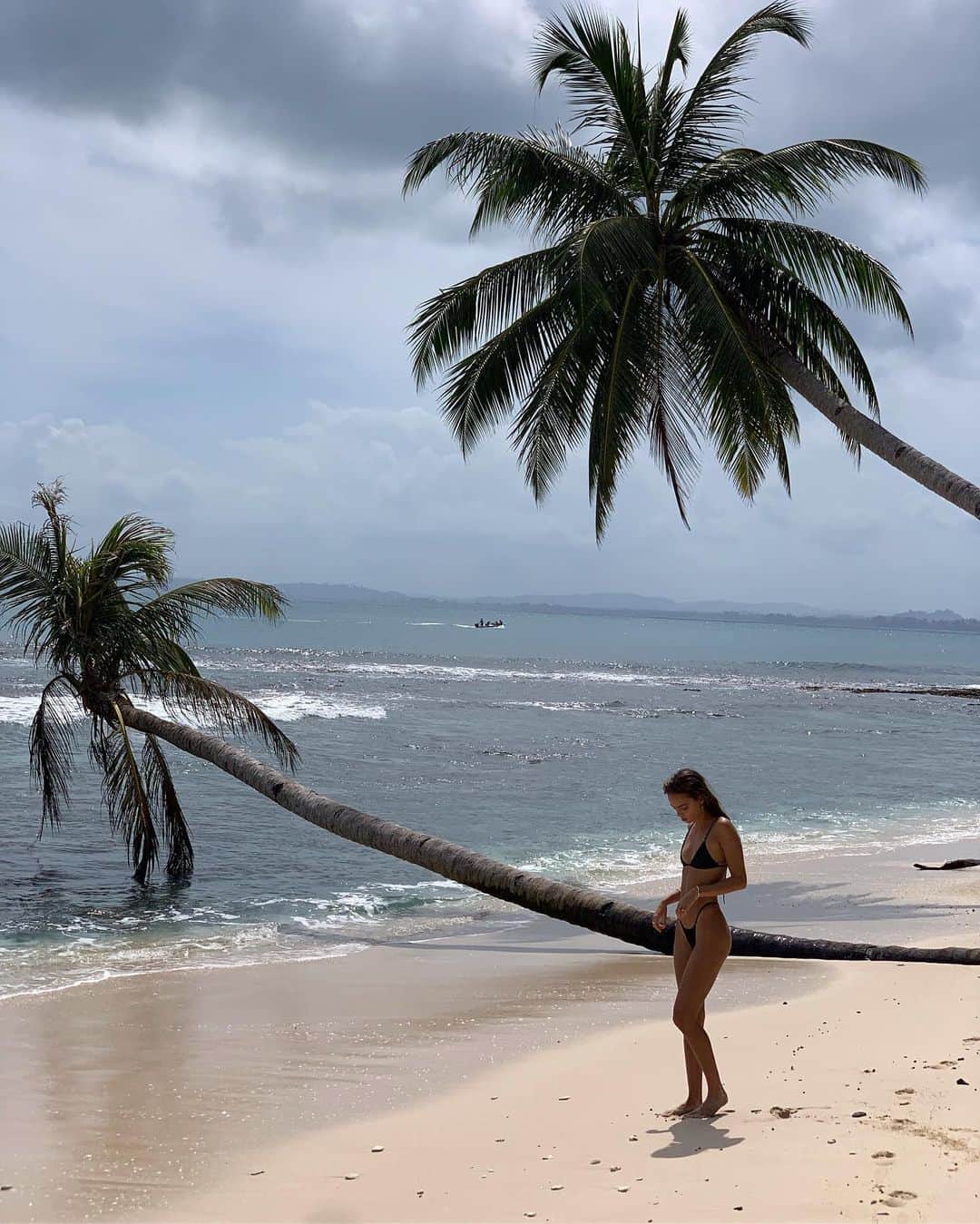 Inka Williamsさんのインスタグラム写真 - (Inka WilliamsInstagram)「I really have a thing for coconut tree’s 🥥🌴」8月12日 20時38分 - inkawilliams