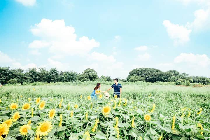 Lovegraph［ラブグラフ］さんのインスタグラム写真 - (Lovegraph［ラブグラフ］Instagram)「. 6年のお付き合いを経て婚約されたお二人。 これからも笑顔あふれる毎日を☺️ ㅤㅤㅤ ┈┈┈┈ ㅤㅤㅤ こちらも更新しております▷ @lovegraph_kids @lovegraph_maternity @lovegraph_wedding  ㅤㅤㅤ #Lovegraph #ラブグラフ #幸せな瞬間をもっと世界に ㅤㅤㅤ #カップルフォト #カップルフォト倶楽部 #ひまわり畑 #ロケーションフォト #リンクコーデ #カップルコーデ #モノトーンコーデ #記念日デート #記念日 #サプライズ #写真好きな人と繋がりたい #写真撮ってる人と繋がりたい #カップルさんと繋がりたい #夏の思い出 #6年記念日 #ひまわり #photography #sunflower #japanese」8月12日 21時36分 - lovegraph_me