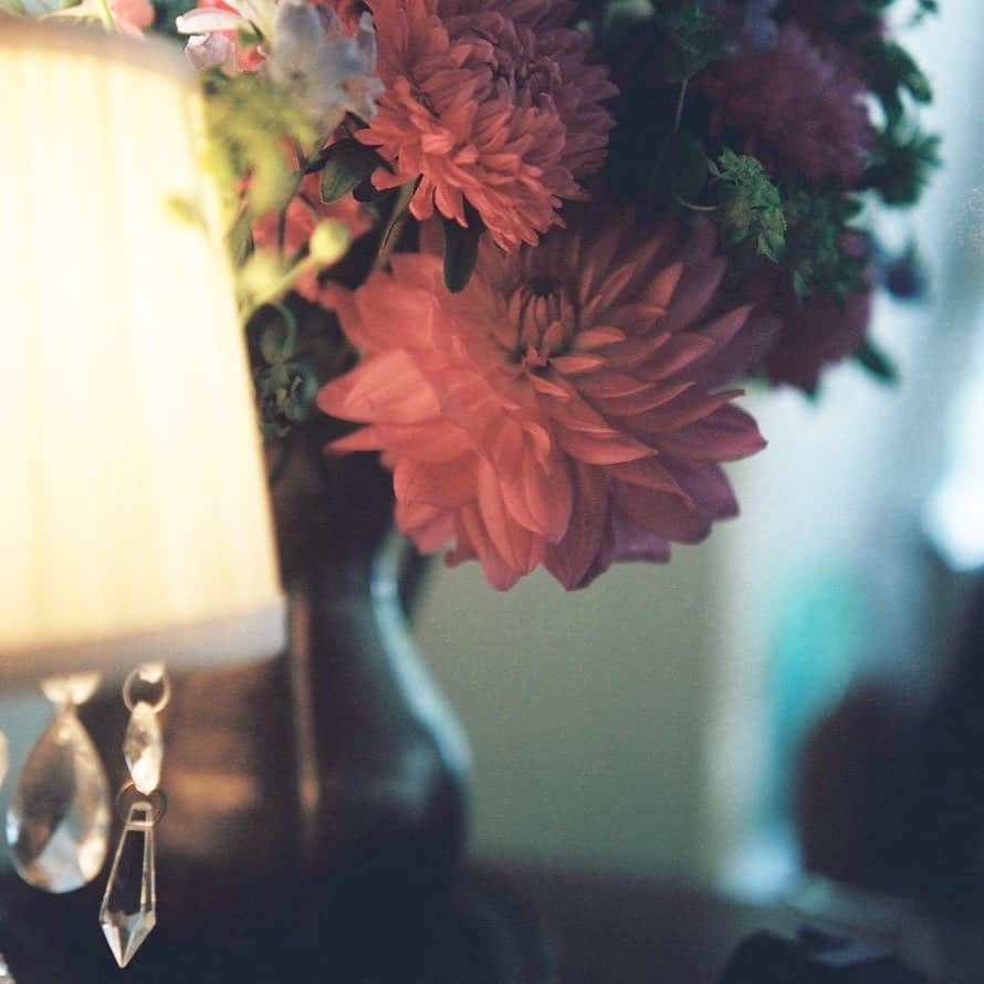 tetrrineのグルメインスタ