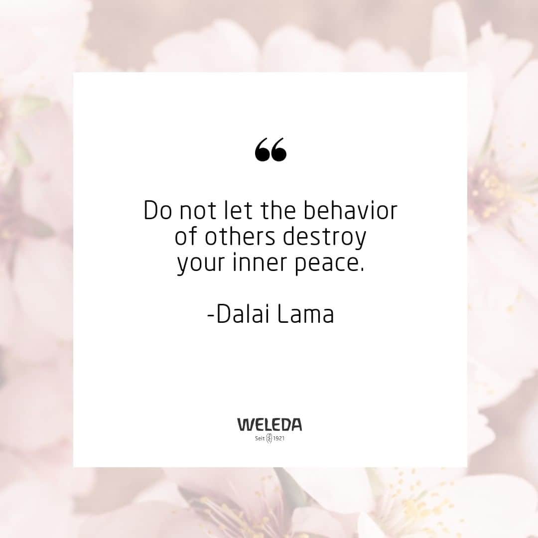 Weledaのインスタグラム：「How you react is all that you can control! ❤️#Quoteoftheday」