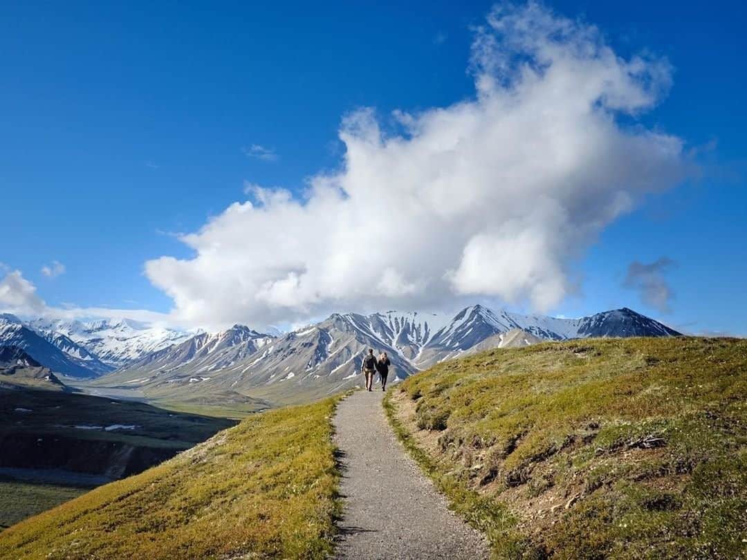 REIさんのインスタグラム写真 - (REIInstagram)「What does that cloud look like to you?  Photo: @joyofthemoment.travel in Denali National Park, #Alaska. #OptOutside」8月12日 22時00分 - rei