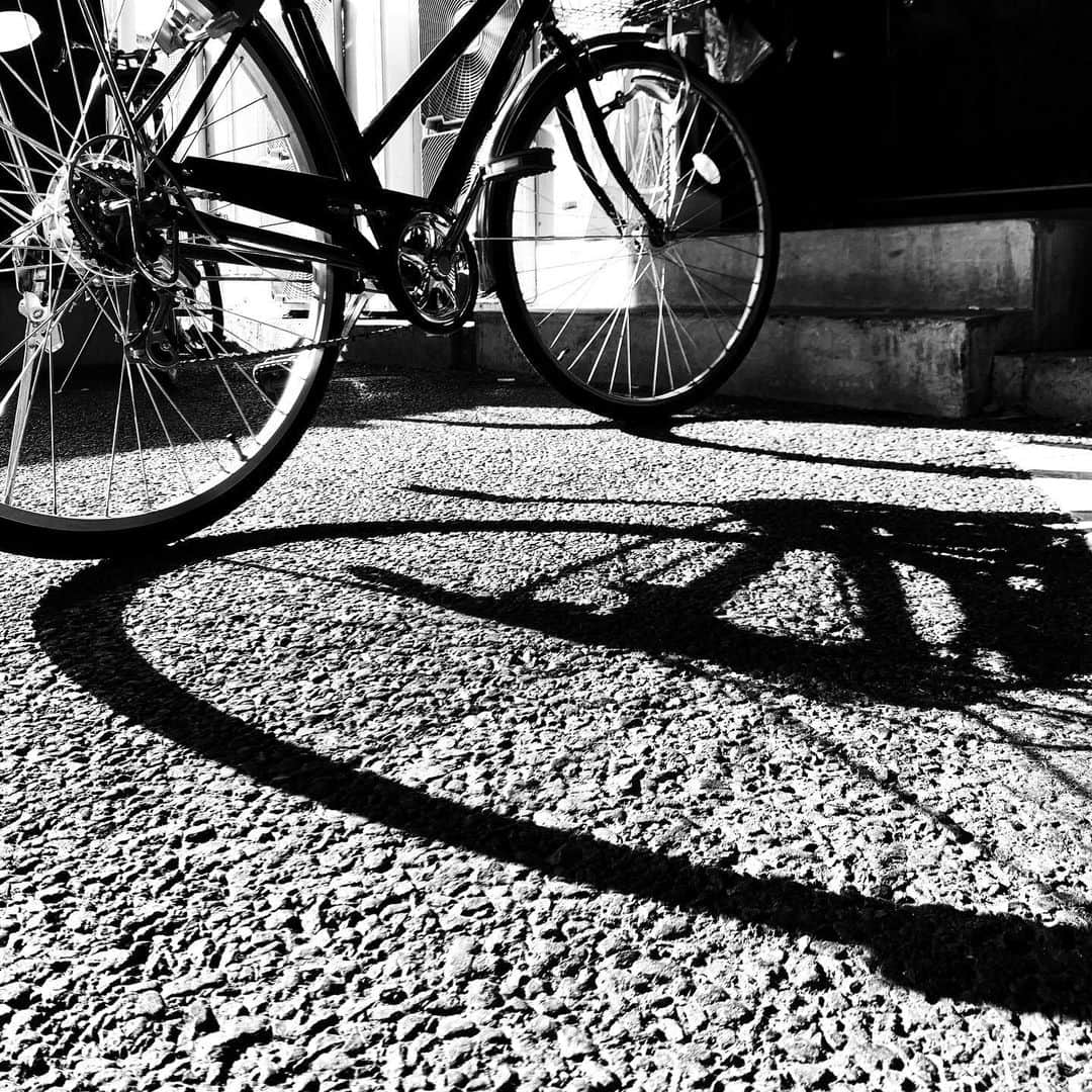 naotakeのインスタグラム：「自転車 - A bicycle / iPhone XR + Snapseed, 20190813 . . さわやかのハンバーグが食べてみたい。 . . #royalsnappingartists #infamous_family #rsa_main #infinity_photo_cult #2_fineart #jp_gallery #jp_gallery_bnw #trb_bnw #wp_bnw  #bnw_life #bnwlife_member #bnw_life_shots #bnw_captures #world_bnw #top_bnw #team_jp_ #team_jp_モノクロ #ig_energy_bw #ig_nihon #streetphotographybnw #igersjp #blackandwhite #bnw #bnwphoto #monochrome #bw #bnwphotography #ShotOniPhone #shotoniphoneXR」
