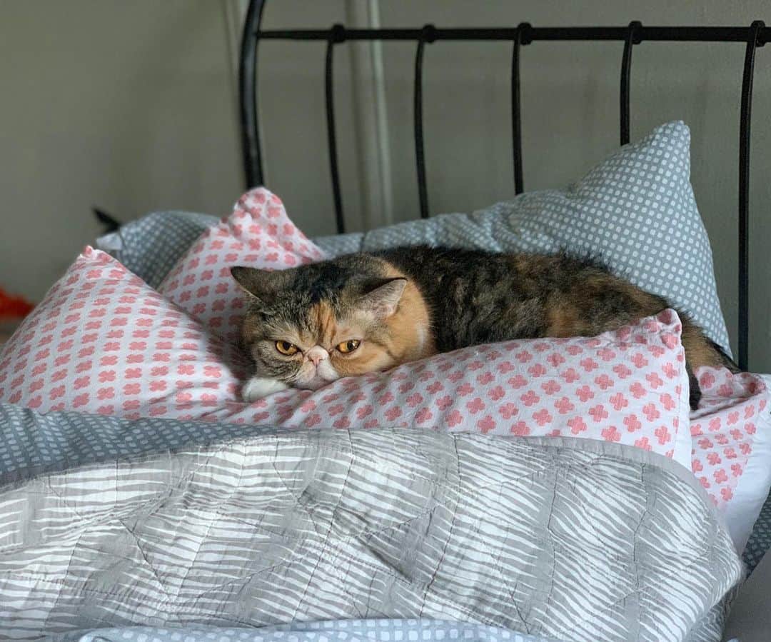 Tinaのインスタグラム：「The princess and the pea」