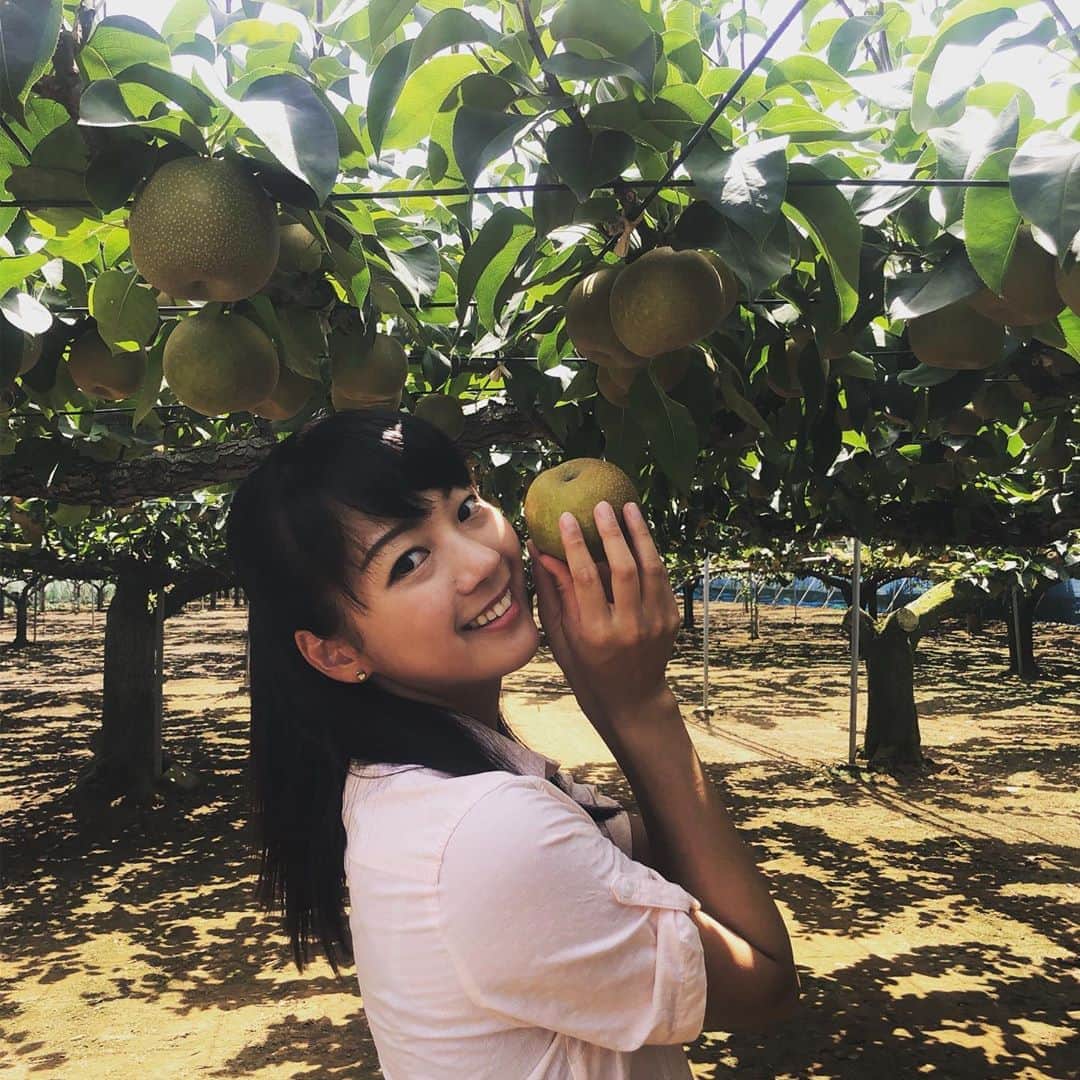 紀真耶のインスタグラム