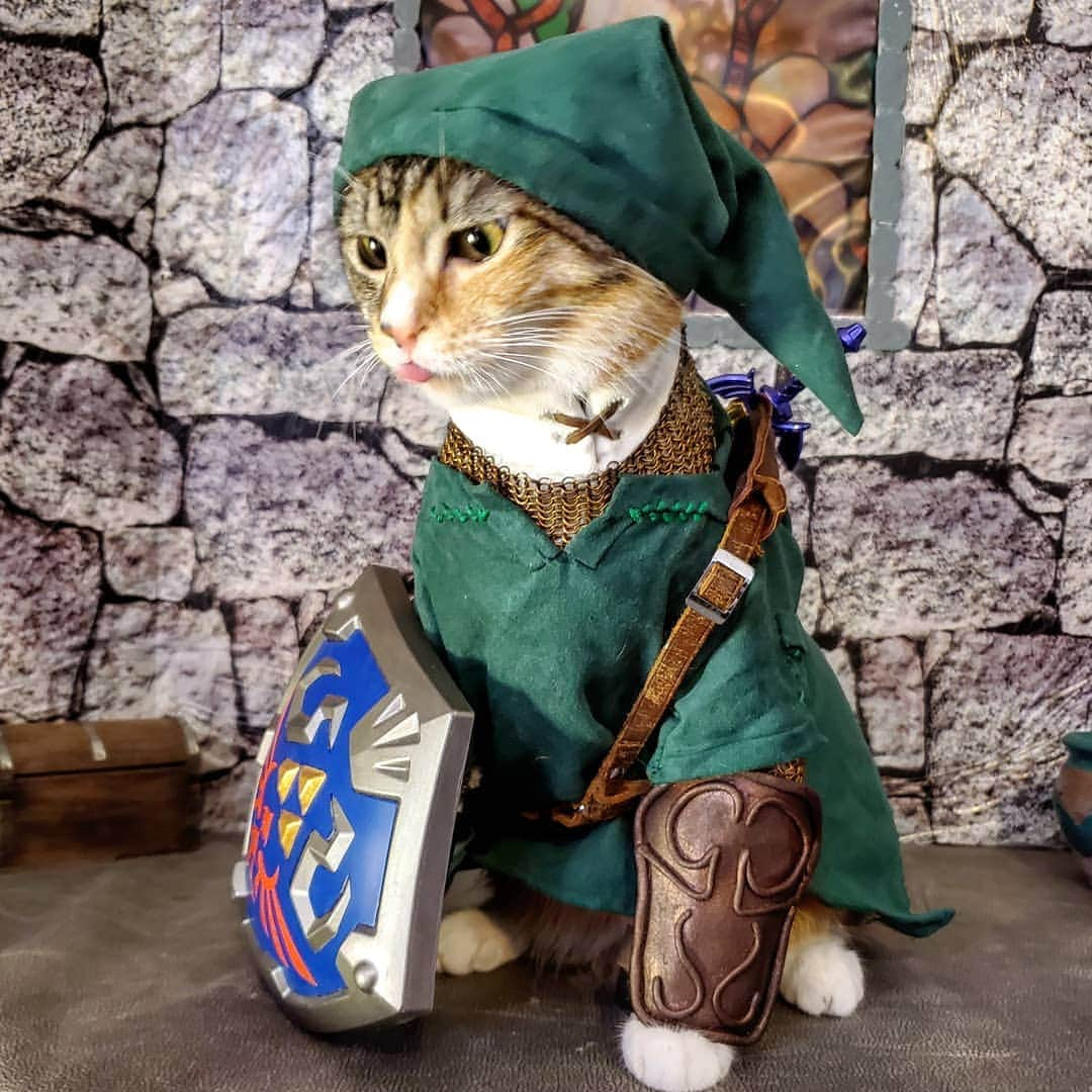 猫コスプレさんのインスタグラム写真 - (猫コスプレInstagram)「The Triforce of Blep.  #LegendofZelda #link . . . . . . . #loz #legendofzeldacosplay #lozcosplay #twilightprincess #nintendo #nintendocosplay #videogamecosplay #videogames #cosplay #catsinclothes #catarmor #catcosplay #catcostume #petclothes #petcostumes #cosplay #bestcat #blep」8月12日 23時04分 - cat_cosplay