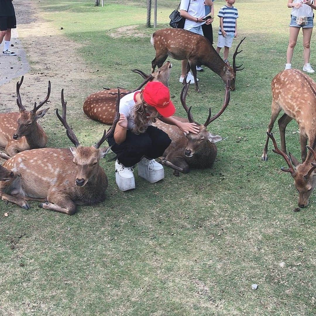 うさたにパイセンさんのインスタグラム写真 - (うさたにパイセンInstagram)「. . . 念願の奈良公園！ . . 鹿せんべい感動した！✨ . . #usagal #usaギャル #うさたにグラス  #followforfollowback #fashion #instagood #instalike #instafashion #follow4followback #followbackalways #毎日が別人  #carry」8月12日 23時11分 - usatanipaisen1215