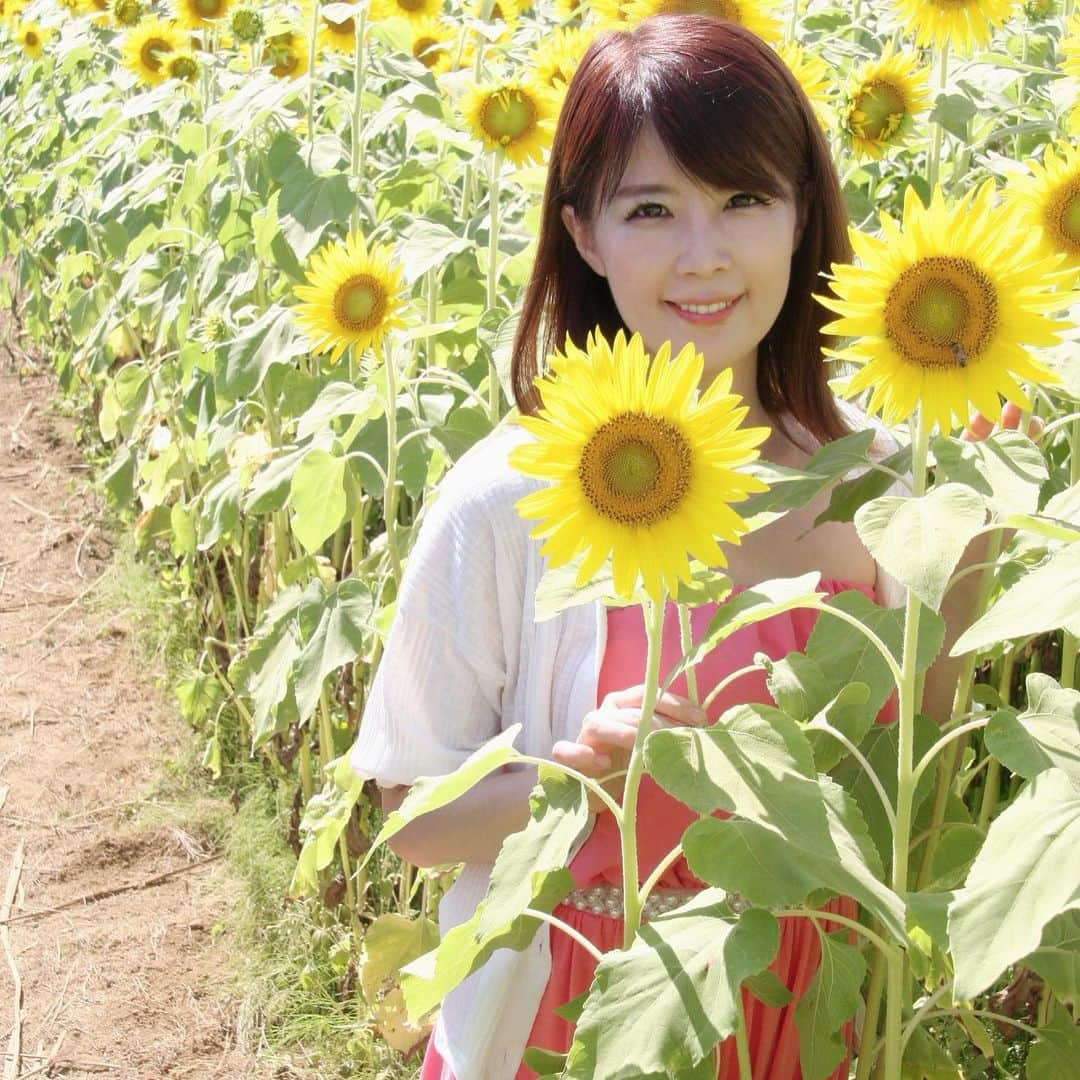 沢木麻衣さんのインスタグラム写真 - (沢木麻衣Instagram)「座間ひまわり祭りで撮影会🌻とみんなでお祭りを楽しんだよ(^ ^) #写真で伝えたい私の世界  #写真好きな人と繋がりたい  #写真撮ってる人と繋がりたい  #写真の奏でる私の世界  #座間ひまわり #座間ひまわり畑  #座間ひまわり祭り photo by kuartさん」8月12日 23時31分 - maikaru720