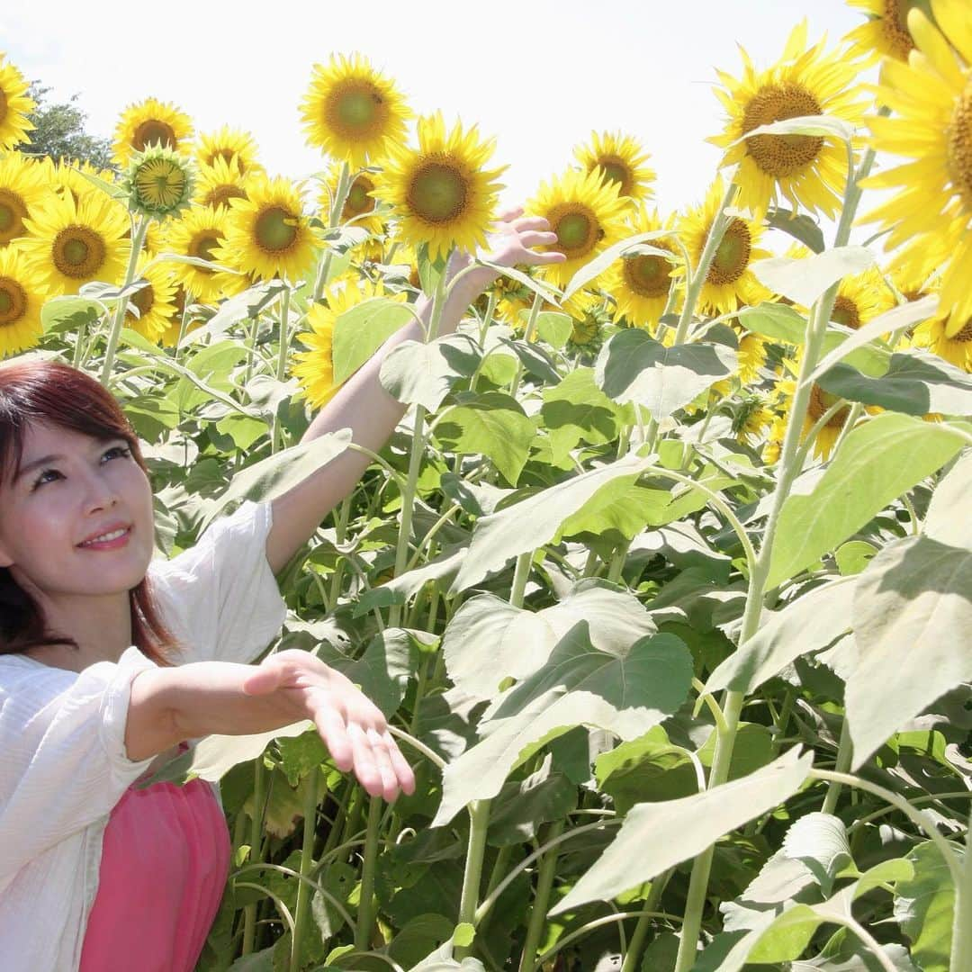 沢木麻衣さんのインスタグラム写真 - (沢木麻衣Instagram)「座間ひまわり祭りで撮影会🌻とみんなでお祭りを楽しんだよ(^ ^) #写真で伝えたい私の世界  #写真好きな人と繋がりたい  #写真撮ってる人と繋がりたい  #写真の奏でる私の世界  #座間ひまわり #座間ひまわり畑  #座間ひまわり祭り photo by kuartさん」8月12日 23時31分 - maikaru720