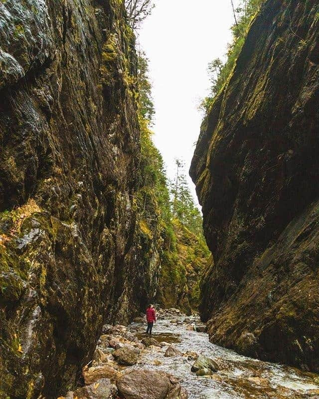 Explore Canadaさんのインスタグラム写真 - (Explore CanadaInstagram)「Trekking through New Brunswick's dynamic natural surroundings can surprise even the most seasoned travellers. If you want to be astonished by a natural phenomenon, don’t look any further than the Hopewell Rocks at the Bay of Fundy. Due to the unique shape of the bay this area gets the highest tides in the world!  #ExploreCanada⁠ ⁠ 📷: @lifeofashmac⁠ 📍: @destinationnb⁠ ⁠ #ExploreNB」8月13日 0時00分 - explorecanada