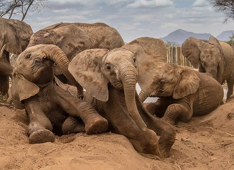 National Geographic Creativeのインスタグラム