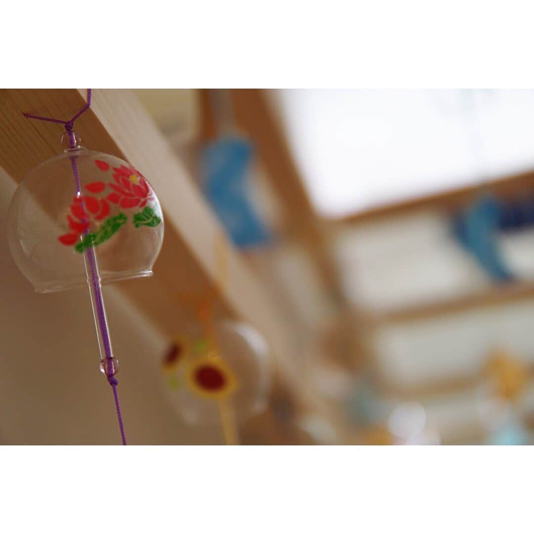 結さんのインスタグラム写真 - (結Instagram)「2019.08.12 「マリンワールド海の中道」3  #福岡 #水族館 #マリンワールド #鹿児島 #いずみマチテラス  #長崎 #ランタンフェスティバル  #風鈴 #魚 #camera  #sony  #α5100  #レンズ  #sigma  #30mm  #結丸写真部」8月13日 0時08分 - sing.yui.0318