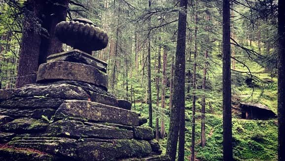 エヴァンジェリン・リリーさんのインスタグラム写真 - (エヴァンジェリン・リリーInstagram)「We walked in the forest and things melted inside that we didn’t know were frozen.  #forest #india #friendship」8月13日 5時55分 - evangelinelillyofficial