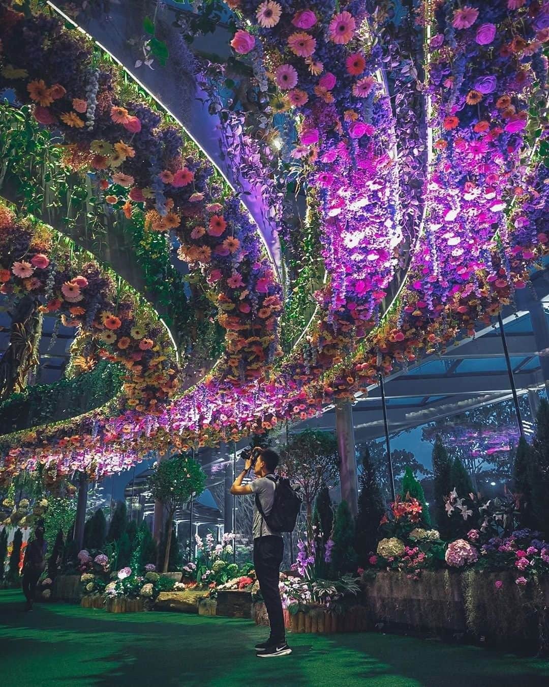 Travel + Leisureさんのインスタグラム写真 - (Travel + LeisureInstagram)「Floral Fantasy is the newest attraction at Singapore's Gardens by the Bay, and we are here 🌺 for 🌸 it 🌼 Get our Singapore travel guide at the link in bio! #tlpicks courtesy of @muzzyus」8月13日 5時55分 - travelandleisure