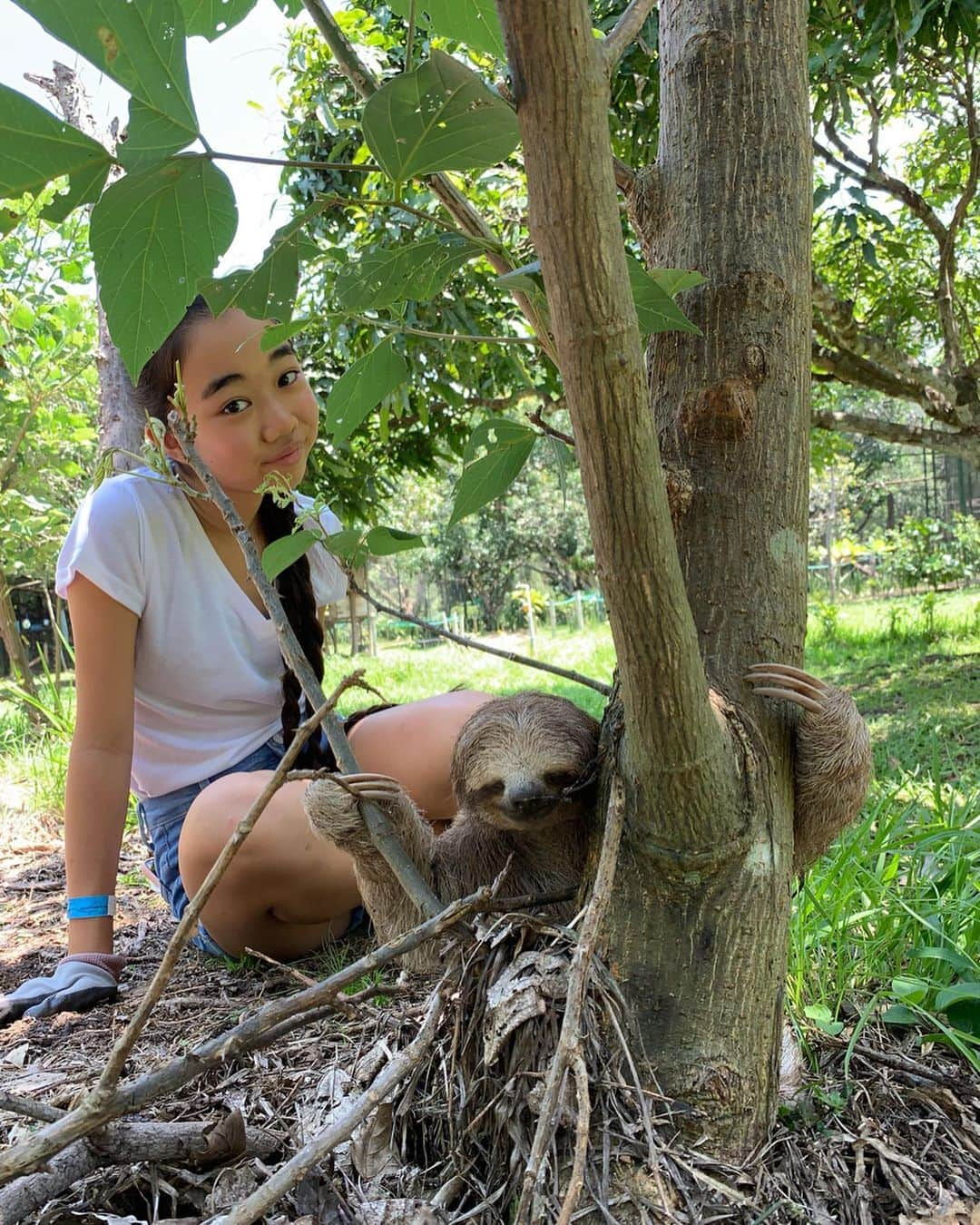 Laraさんのインスタグラム写真 - (LaraInstagram)「Walking Susan the sloth with @inked_julez! She’s from Germany (@inked_julez Not the sloth) she’s teaching me how to walk Susan! This centers income is from the volunteers stay fee! . . ドイツ🇩🇪からボランティアにきてる @inked_julez にナマケモノのスーザンのお散歩の仕方を習ったよ。 このセンターにはなんらかの事情で運ばれてきた野生動物が保護されていて今170匹の動物がいて 世界中から来るボランティア人達の宿泊費がセンターの維持費や動物達のご飯や薬になるんだって。 . #コスタリカ #ボランティア #一泊三食付US50ドル #larasummerholiday」8月13日 0時31分 - fa_la_lara