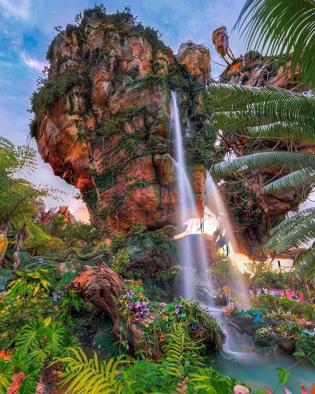 Walt Disney Worldのインスタグラム：「Sivako! Let’s rise to the challenge of Monday. 💪 #DisneysAnimalKingdom #WaltDisneyWorld (📷: @princess_photo_phactory)」