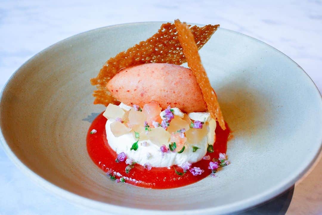 TYSONS&COMPANYのグルメインスタ