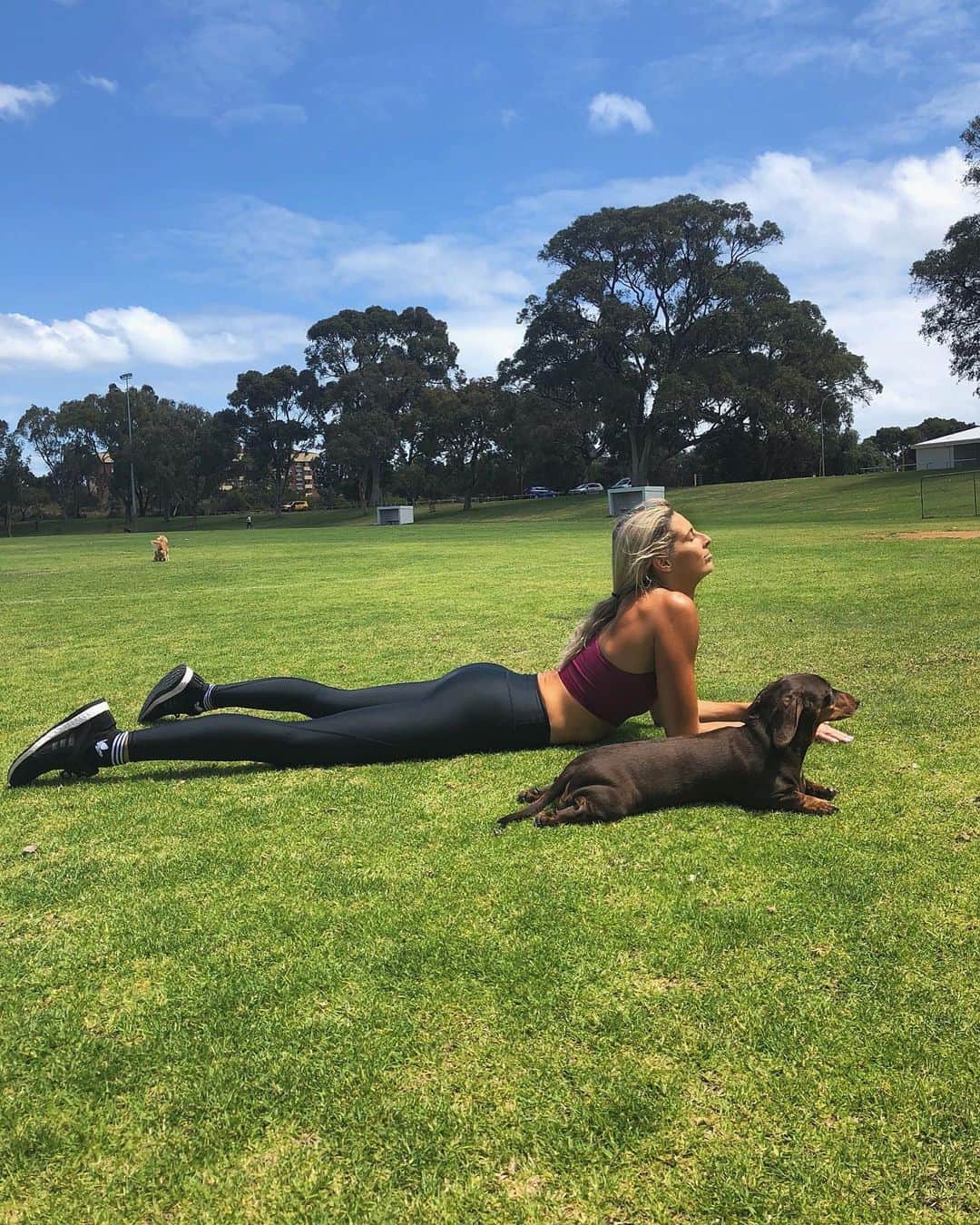 Amanda Biskさんのインスタグラム写真 - (Amanda BiskInstagram)「Just Charlie and I doin’ our thang 😎😎 #sploot ...while Willow barks her head off at all the other dogs/people/children/leaves around the park (can you spot her?) 🙄 haha Not a bad day to do our #alloutaugust workout outside! ☀️ 26 degrees Celsius today...and this is winter?! Boom 👊🏼 #fitnesschallenge ab♥️x . It’s not to late to join us for the ‘All Out August’ Challenge on my app Fresh Body Fit Mind! 💪🏼👊🏼🙌🏼 on iPhone & Android ✨」8月13日 0時34分 - amandabisk