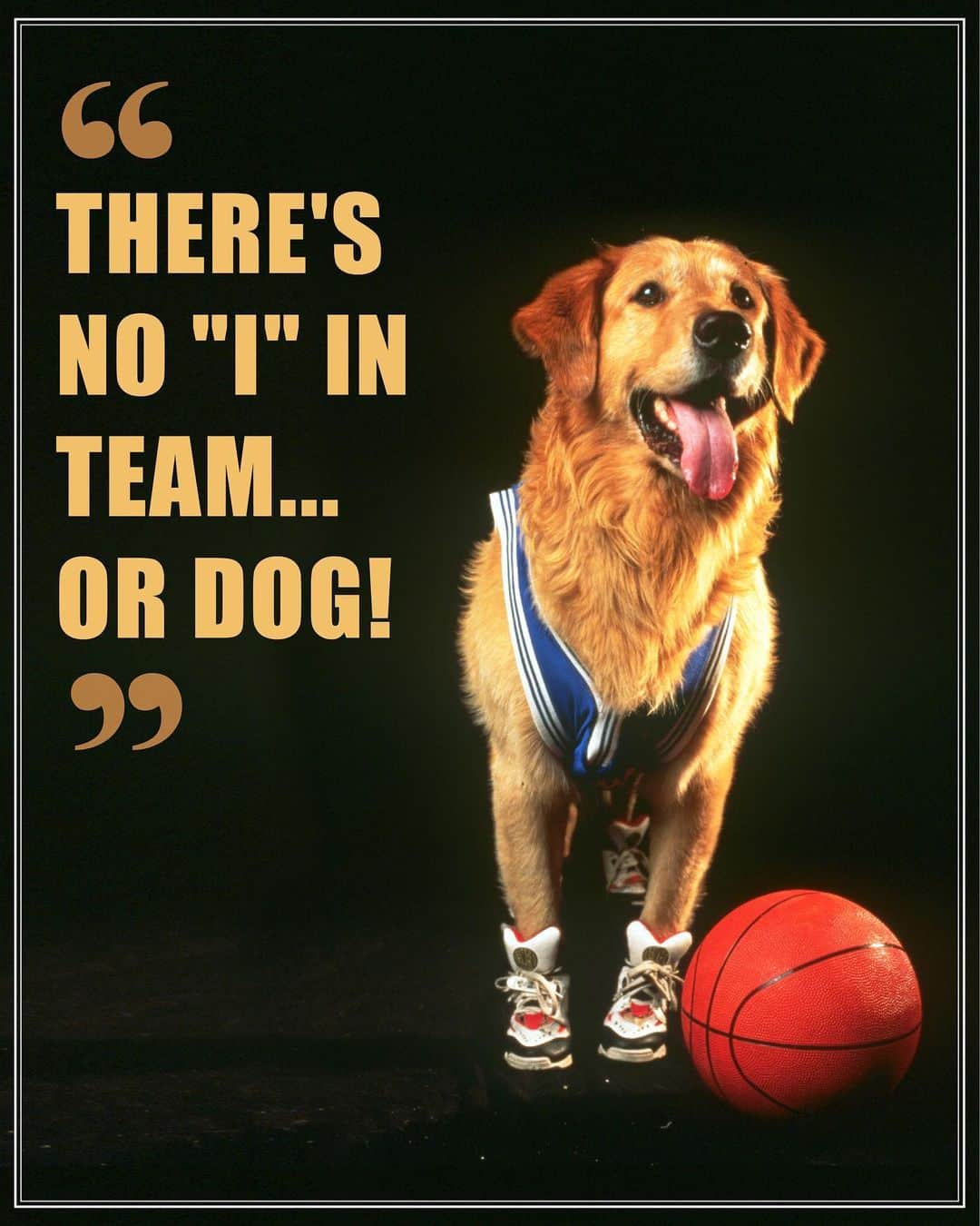 Disneyさんのインスタグラム写真 - (DisneyInstagram)「Tag a buddy who could use some motivation courtesy of Air Bud.」8月13日 1時36分 - disney