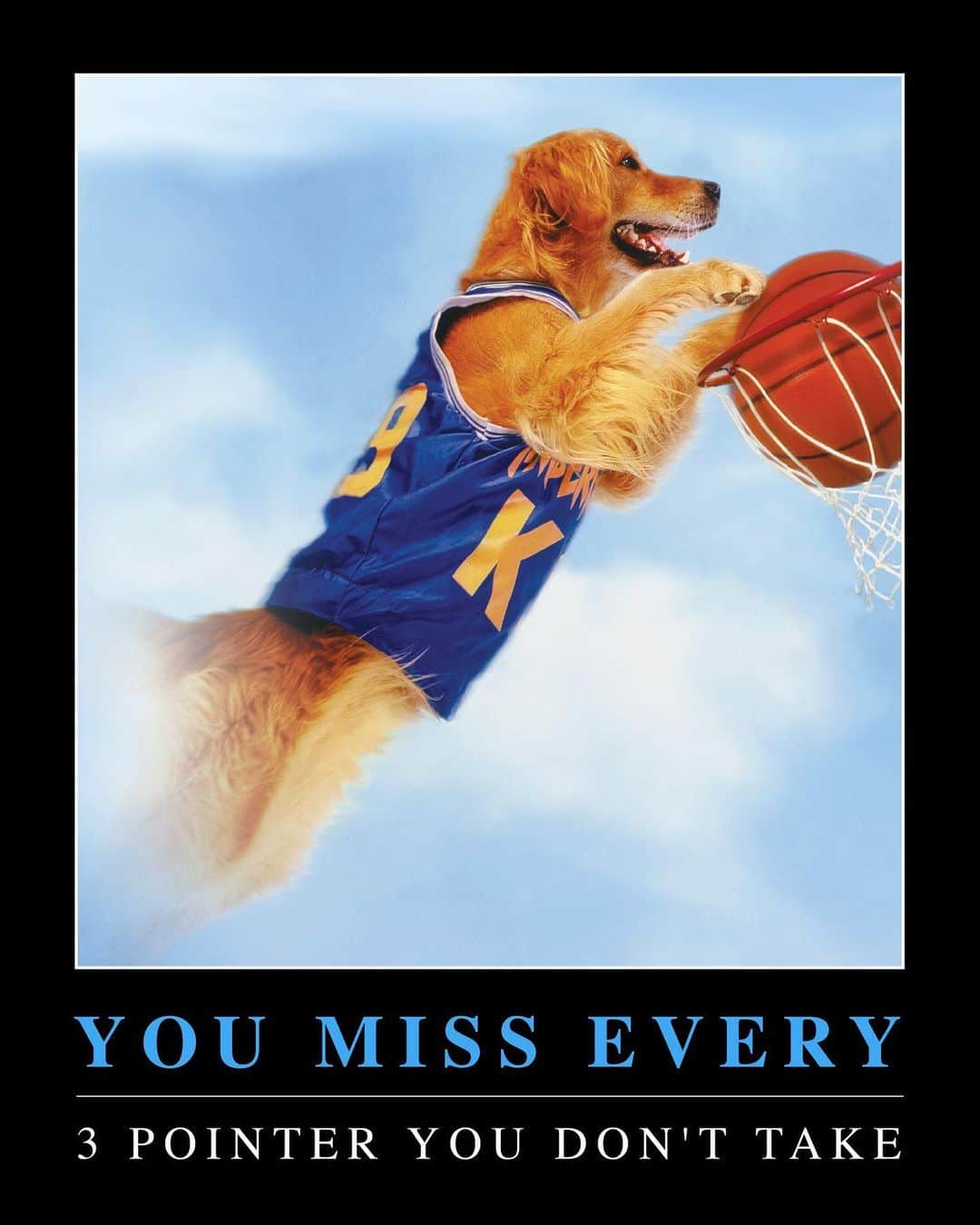 Disneyさんのインスタグラム写真 - (DisneyInstagram)「Tag a buddy who could use some motivation courtesy of Air Bud.」8月13日 1時36分 - disney