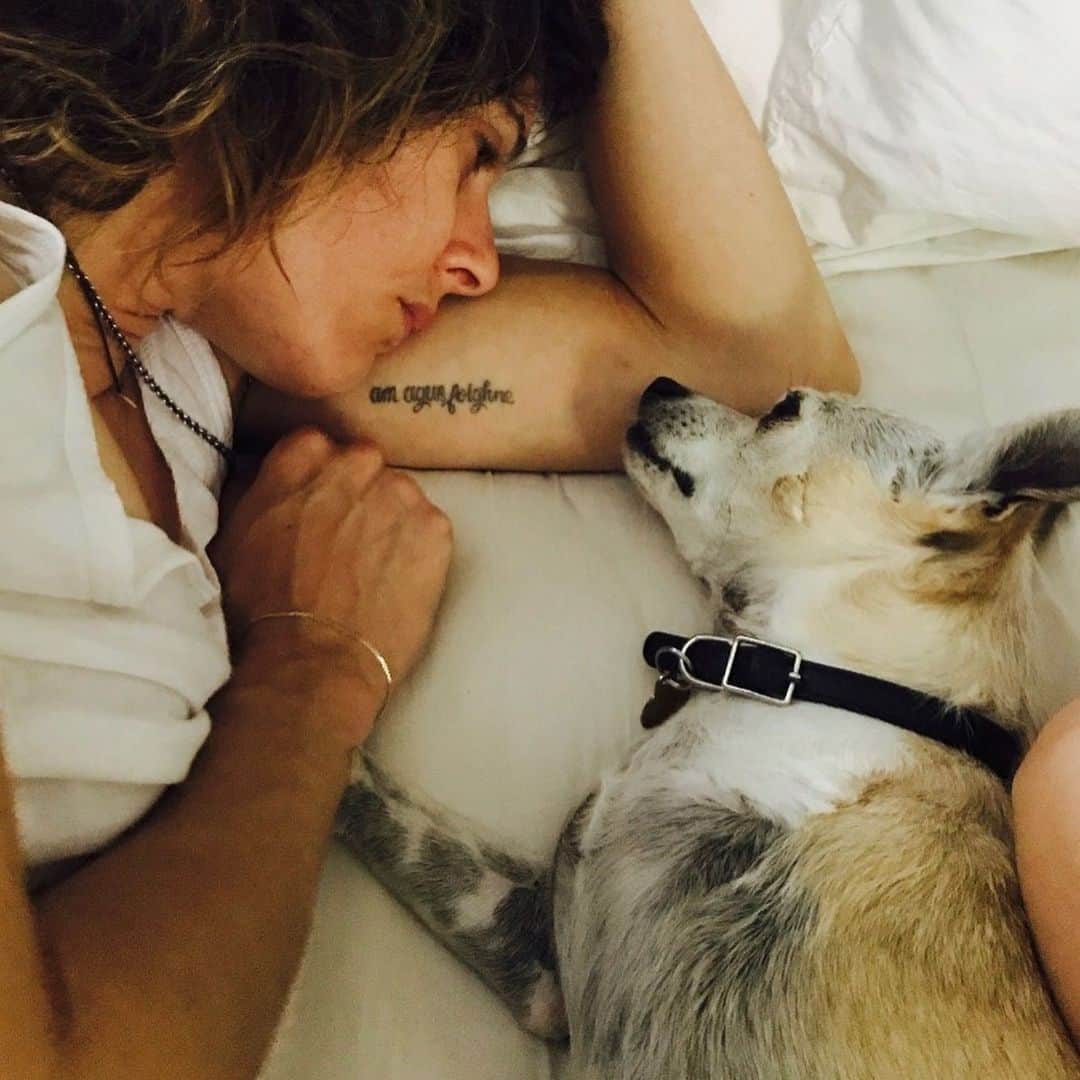 キャサリン・メーニッヒさんのインスタグラム写真 - (キャサリン・メーニッヒInstagram)「I gave my final goodbye to my best friend of 17 years, who was the love of my life.  My amazing friends, family and coworkers rallied, helped and sent so much love and support his way. That alone has made the pain bearable and I am forever grateful.  Floyd, my little soul mate. You taught me what unconditional love really means and you will always be my North Star. I am the luckiest girl that out of everyone, you chose me.  Still trying to put one foot in front of the other, but since you learned to walk right after becoming a tripod, I’ll do my best to follow your lead.  Till we meet again, your nap is earned my sweet boy.  mom My deepest and heartfelt thanks to Dr Zoe, Sara and the team @snpla for providing him with the most incredible care, and treating him like he was their own. They are a non-profit clinic that provides low cost veterinary services to underserved communities in Los Angeles.  In my best effort to honor Floyd and  the animals that give us so much love, I humbly ask that if you’re feeling generous and are able to, please make a donation to them for their continued dedication and service.  Link is in my bio  Xo」8月13日 1時50分 - kateomoennig