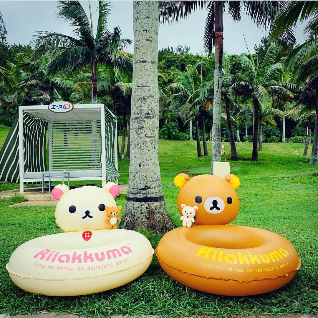 Rilakkuma US（リラックマ）さんのインスタグラム写真 - (Rilakkuma US（リラックマ）Instagram)「Summer is in full swing and we are living for these cute Rilakkuma and Korilakkuma pool floaties! Tag a friend who needs these for their next swimming experience! . Cute pic by @9po_oh! . . #rilakkumaus #Rilakkuma #sanx #pool #summer #poolfloaties #リラックマ #サンエックス」8月13日 1時46分 - rilakkumaus