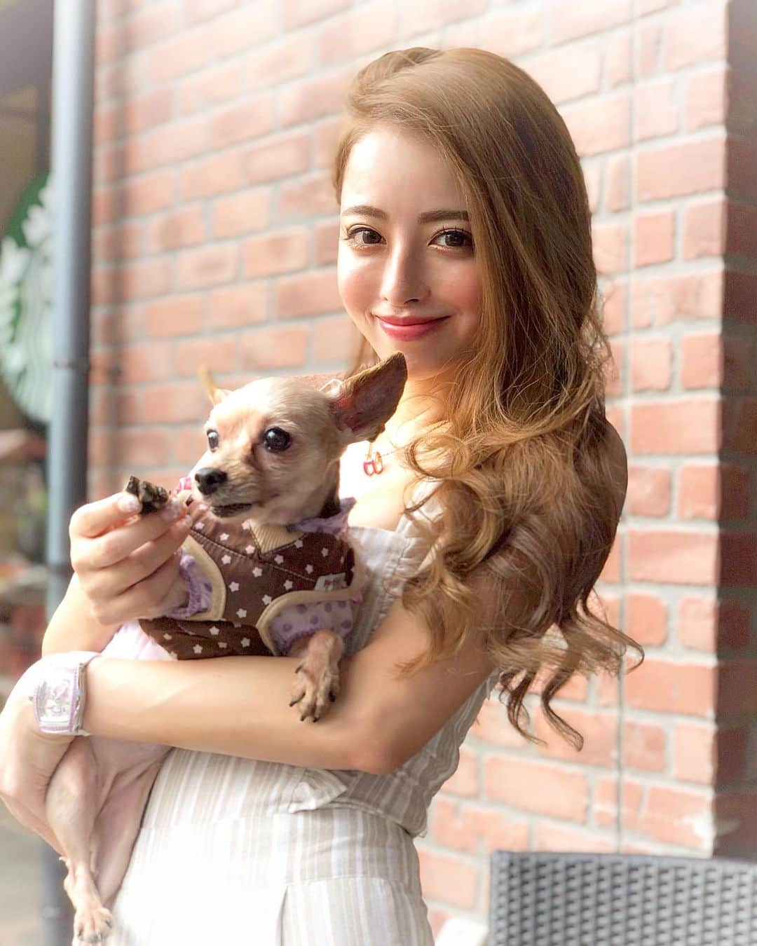 ririさんのインスタグラム写真 - (ririInstagram)「毎日好きだよ♡って 伝えてるよん🐶💓😌 可愛いね💕って 毎日伝えてる🥰💓 感謝の気持ちは 悔いのないくらい伝えたい💓🐶💓 #happy #love #smile #dog #yorkie」8月13日 4時02分 - riri.ribon