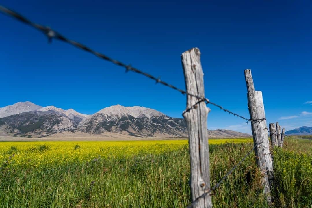 National Geographic Travelさんのインスタグラム写真 - (National Geographic TravelInstagram)「Photo by @Sofia_Jaramillo5 | Flowers bloom in a field below the Lost River Range near Mackay, Idaho. The Lost River Range is a high mountain range of the Rocky Mountains, located in central Idaho, in the northwestern United States. The range includes Idaho's highest peak, Borah Peak, at 12,662 feet. For more photos from Idaho follow @Sofia_jaramillo5. #idaho #travelusa #mountainsarecalling」8月13日 4時04分 - natgeotravel