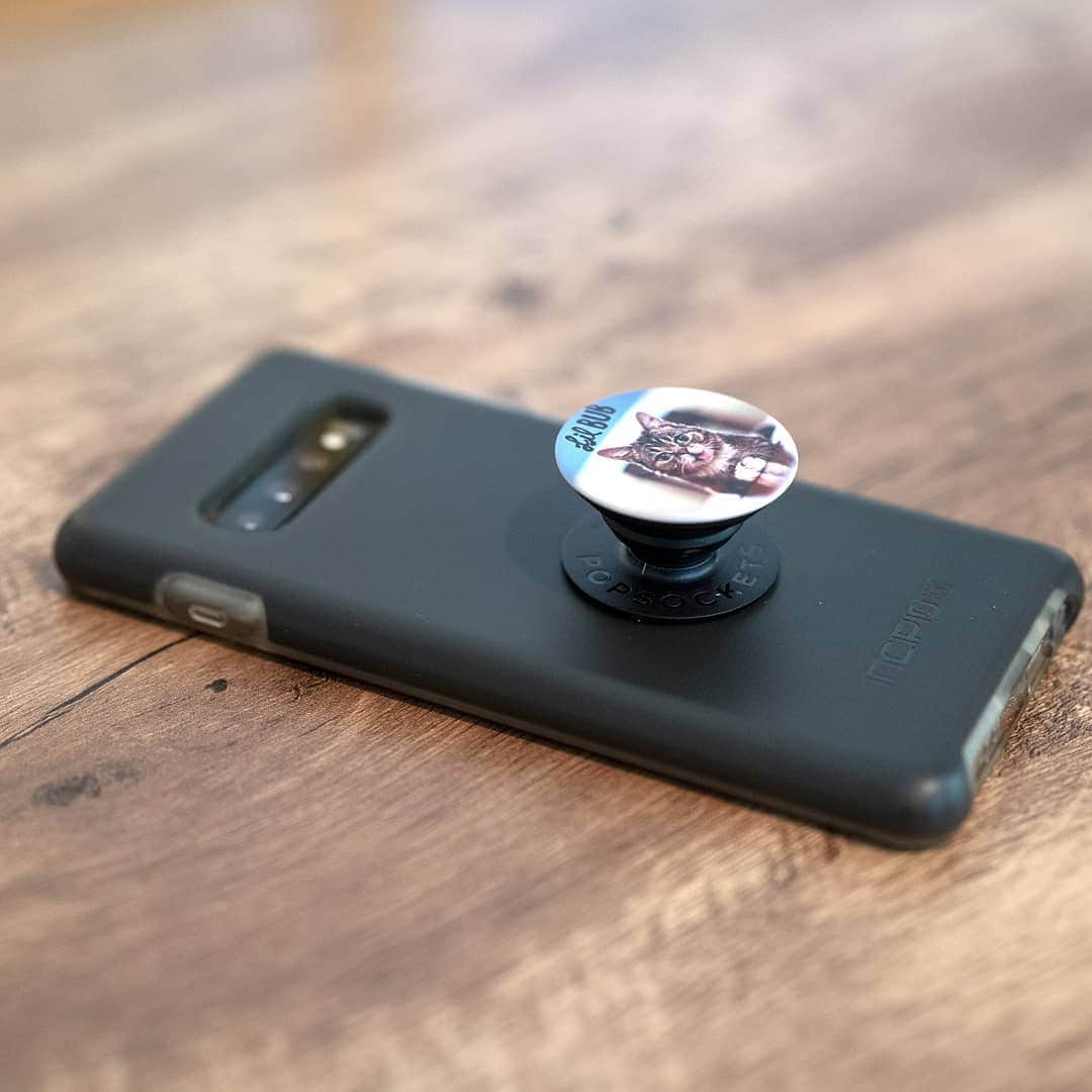 Lil BUBさんのインスタグラム写真 - (Lil BUBInstagram)「BUBify your phone with these amazing new BUB-themed Popsocket designs, available at the link in BUB's bio. While they certainly look amazing (and make holding your phone so much easier), the best part is that 50% of every sale benefits Lil BUB's Big FUND for special needs pets. #goodjobbub #lilbub #poptivism」8月13日 4時05分 - iamlilbub