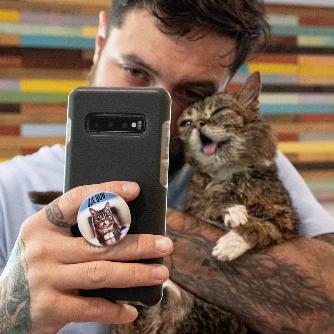 Lil BUBさんのインスタグラム写真 - (Lil BUBInstagram)「BUBify your phone with these amazing new BUB-themed Popsocket designs, available at the link in BUB's bio. While they certainly look amazing (and make holding your phone so much easier), the best part is that 50% of every sale benefits Lil BUB's Big FUND for special needs pets. #goodjobbub #lilbub #poptivism」8月13日 4時05分 - iamlilbub